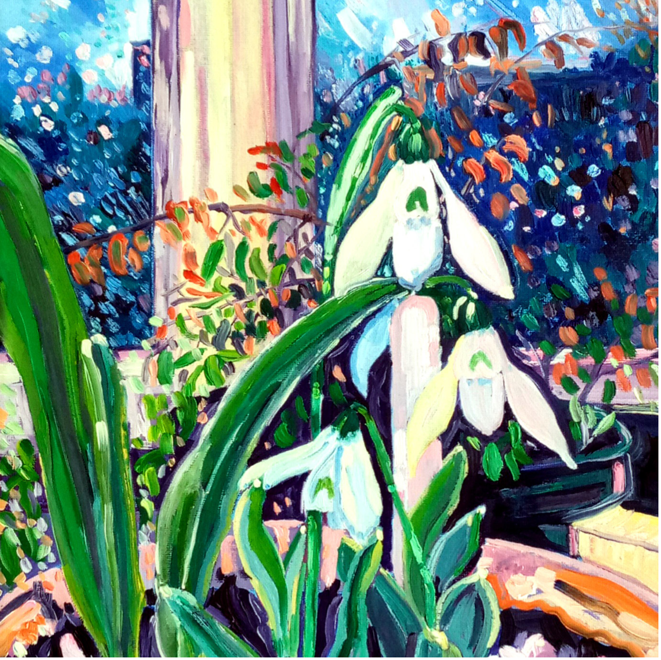 Snowdrops