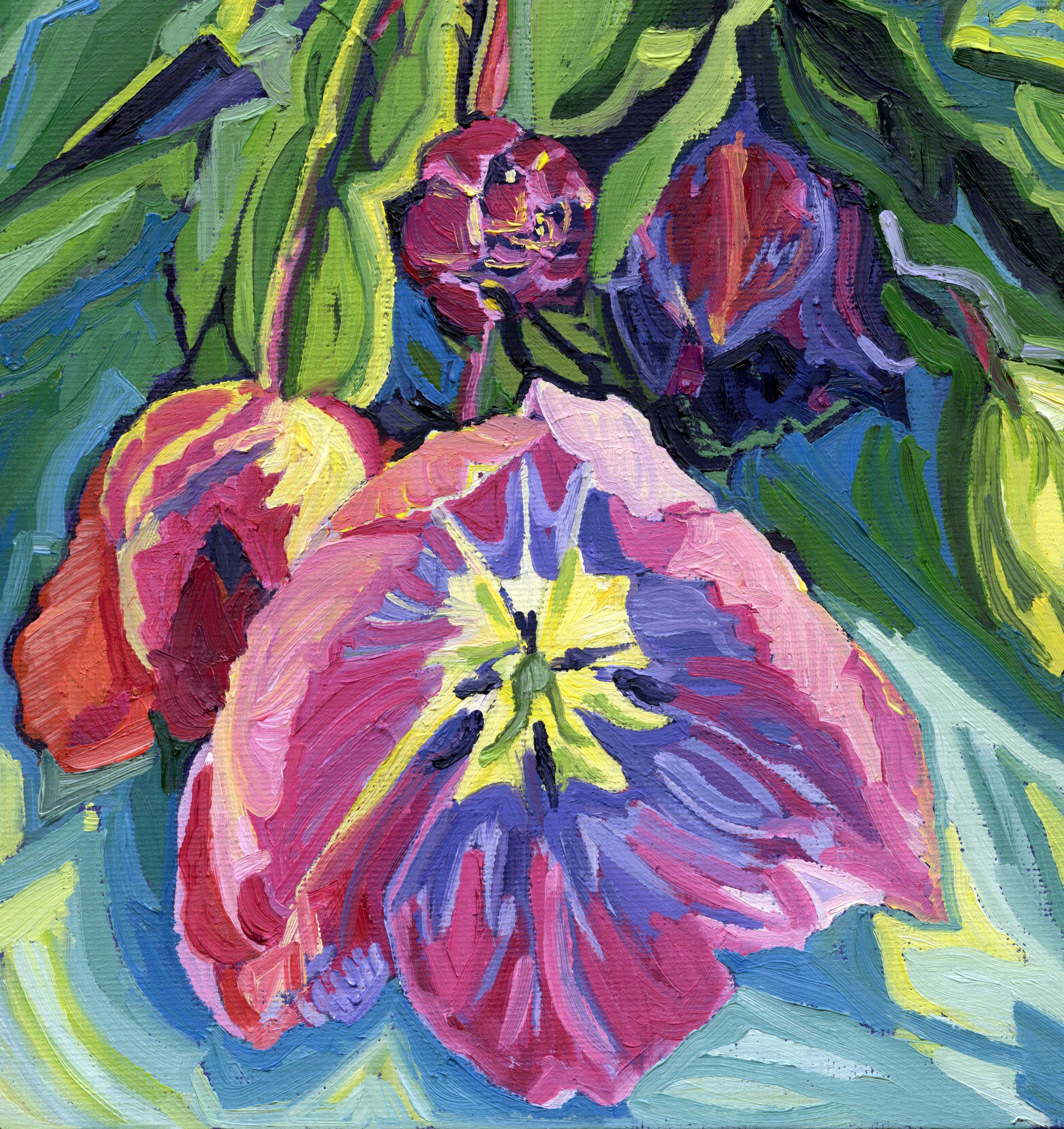 Freshly Picked Tulips