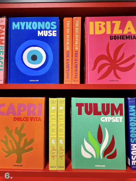 ASSOULINE TRAVEL BOOKS.