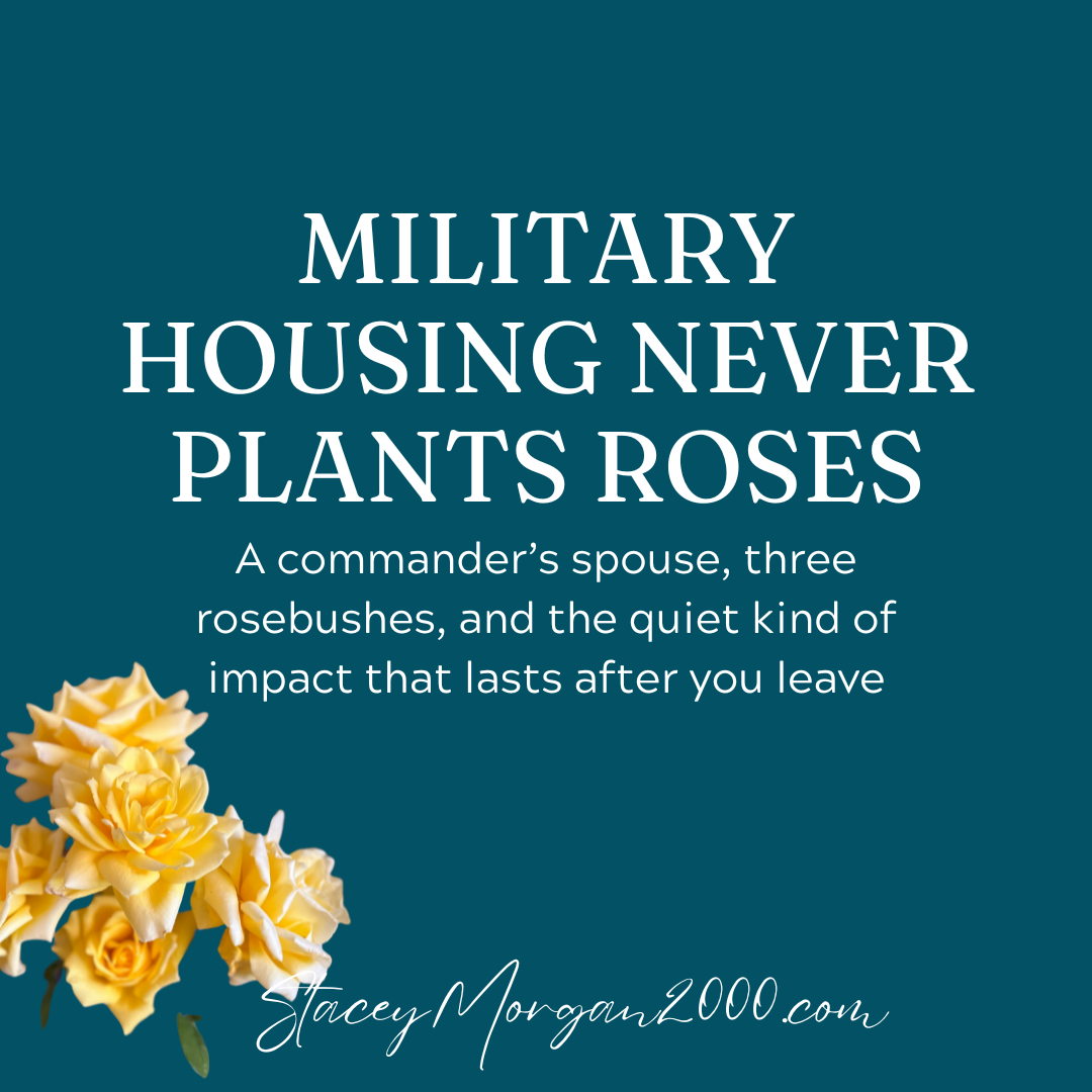 Military Housing Never Plants Roses