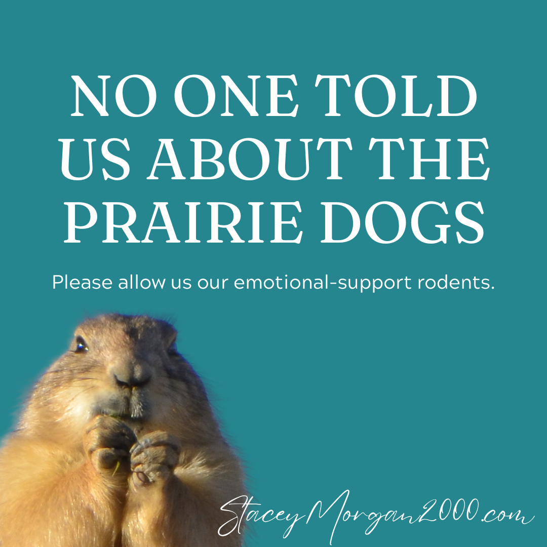 No one told us about the prairie dogs