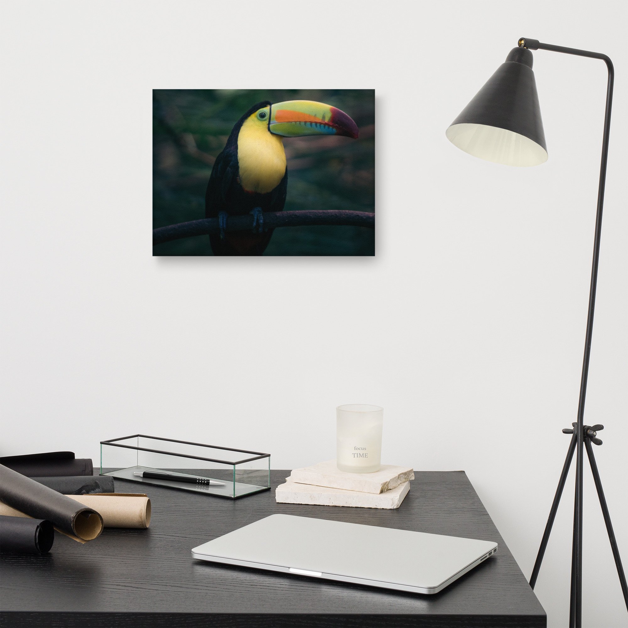 canvas-(in)-12x16-front-637e7637800a1.jpg