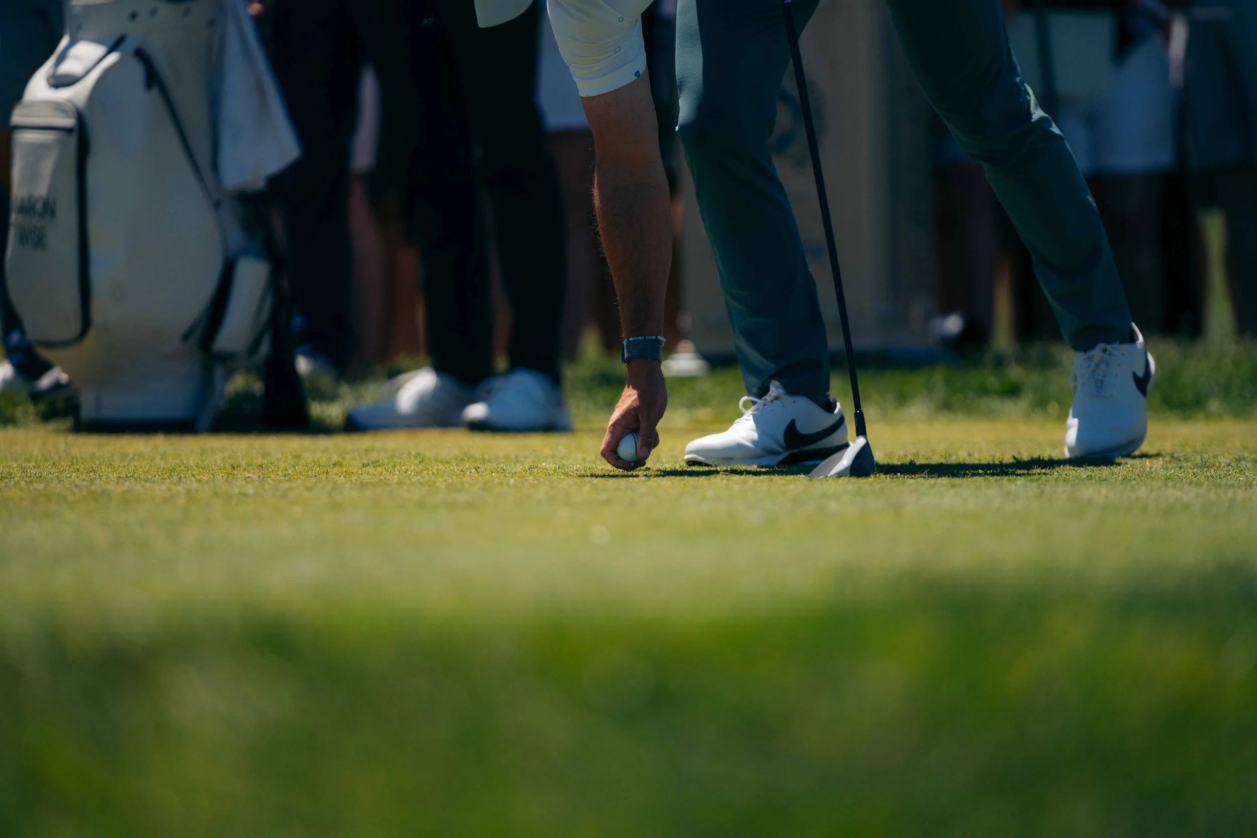 ASDFGHGOLF.jpg