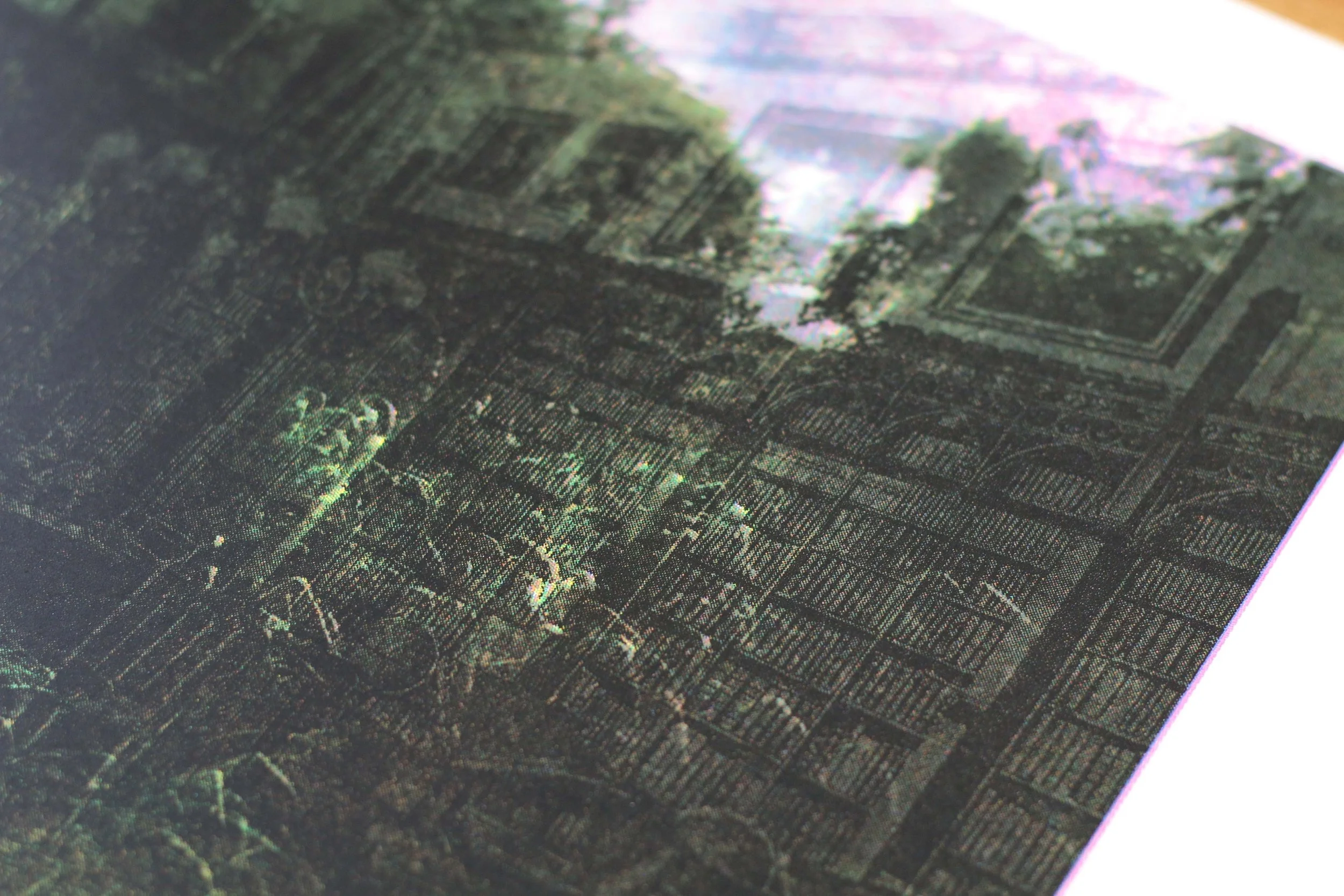 6 Elizabeth Kwant_ Lowthers © 2025.JPG