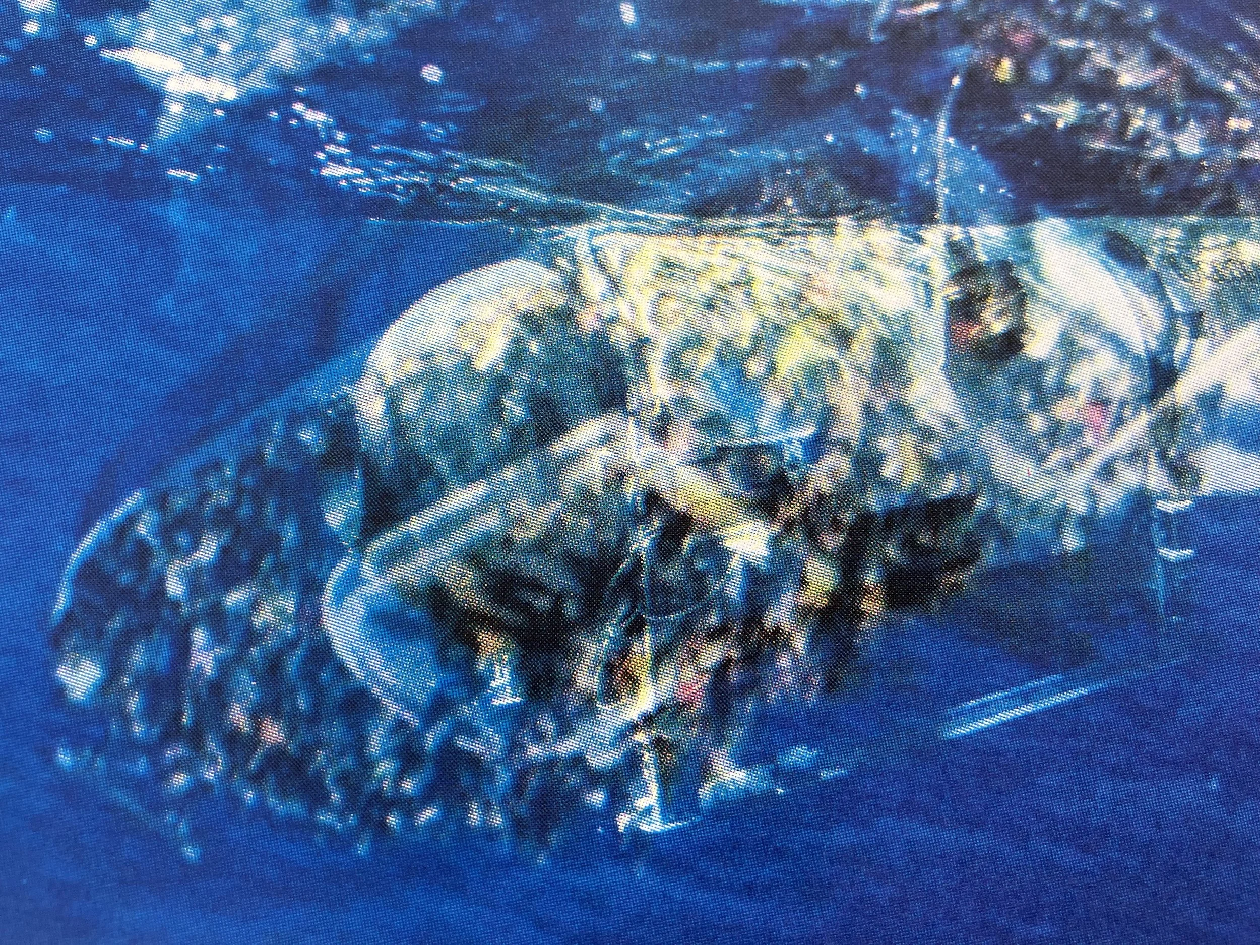 The Titanic Migrant Crisis