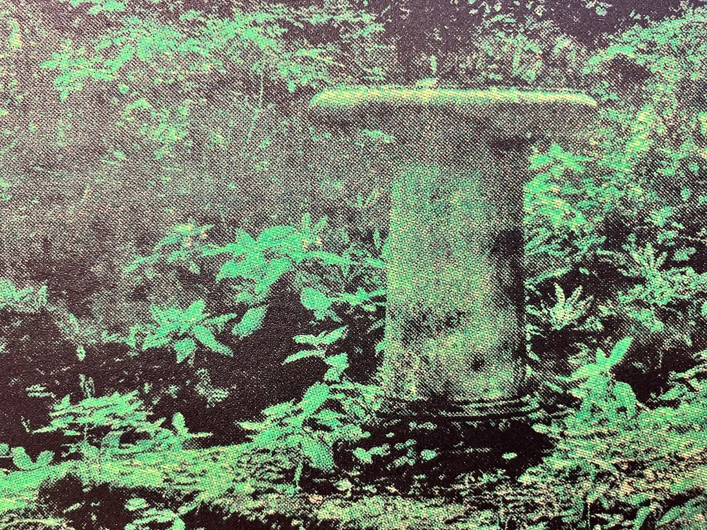 3.Elizabeth Kwant_Senhouses_Screen Print_© Elizabeth Kwant 2025.jpeg