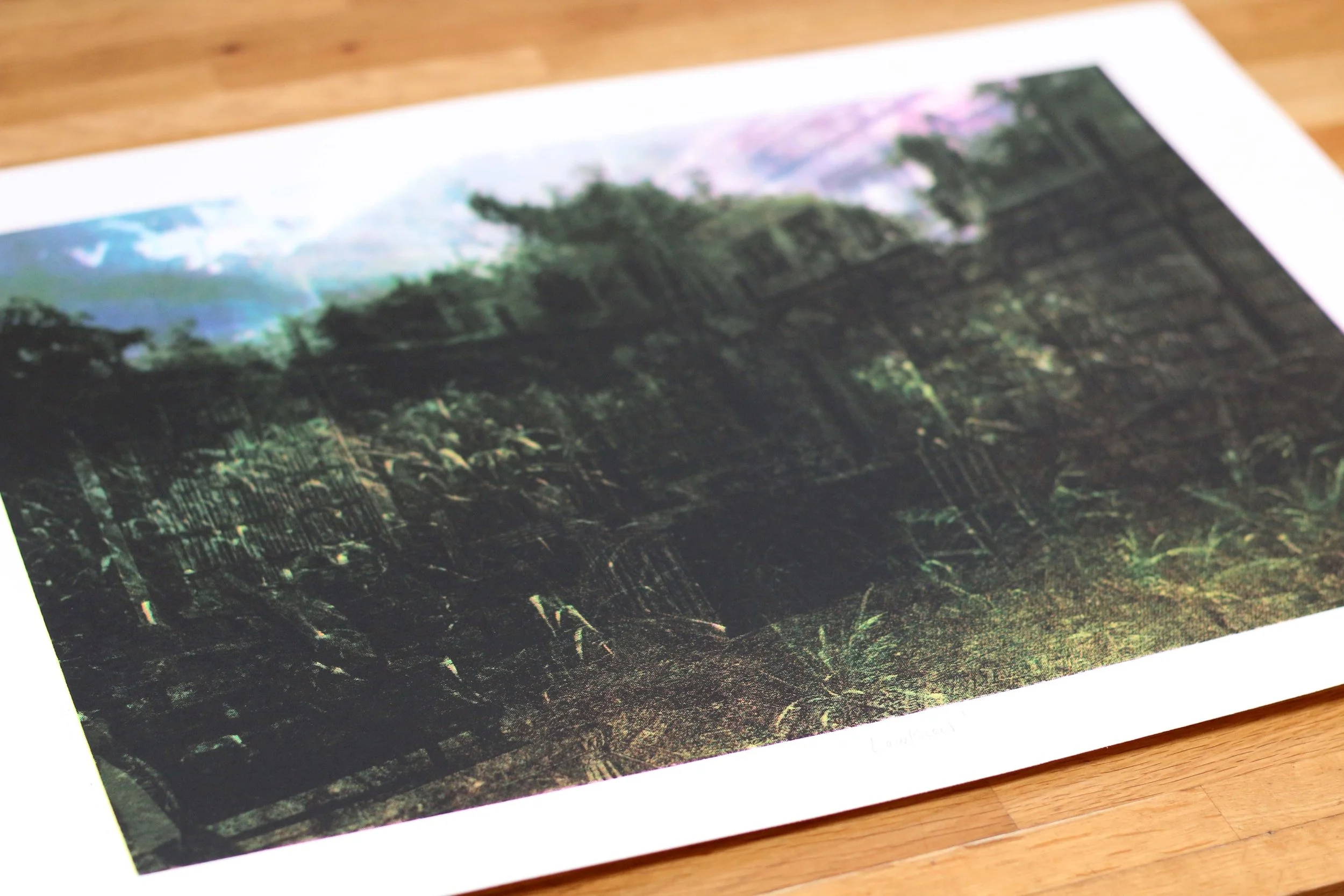 5 Elizabeth Kwant_ Lowthers © 2025.JPG