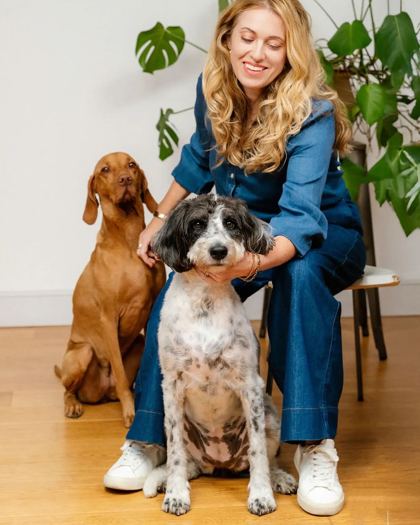 Hello &ndash; it&rsquo;s time for a re-intro!

I&rsquo;m Andrea, the creative behind Beehive Green studio, based in Hertfordshire (Welwyn to be precise).

I&rsquo;m all about strategic, accessible design that connects and communicates. Most projects 