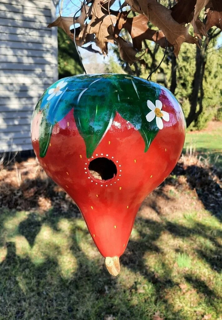 Strawberry Birdhouse Gourd Workshop