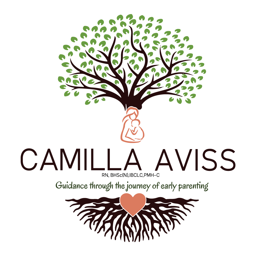 Camilla Aviss Consulting