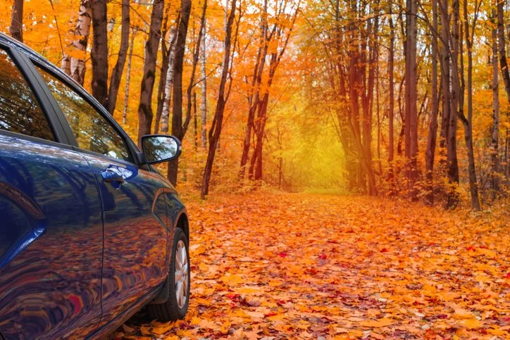 Drive Into the Holidays: November Is Car-Buying Season