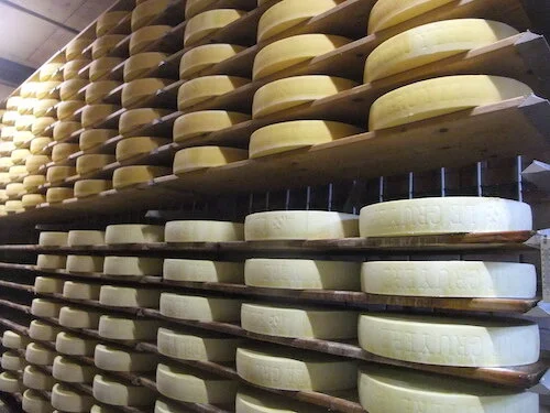 From Milk to Wheel - Cheesemaking 101