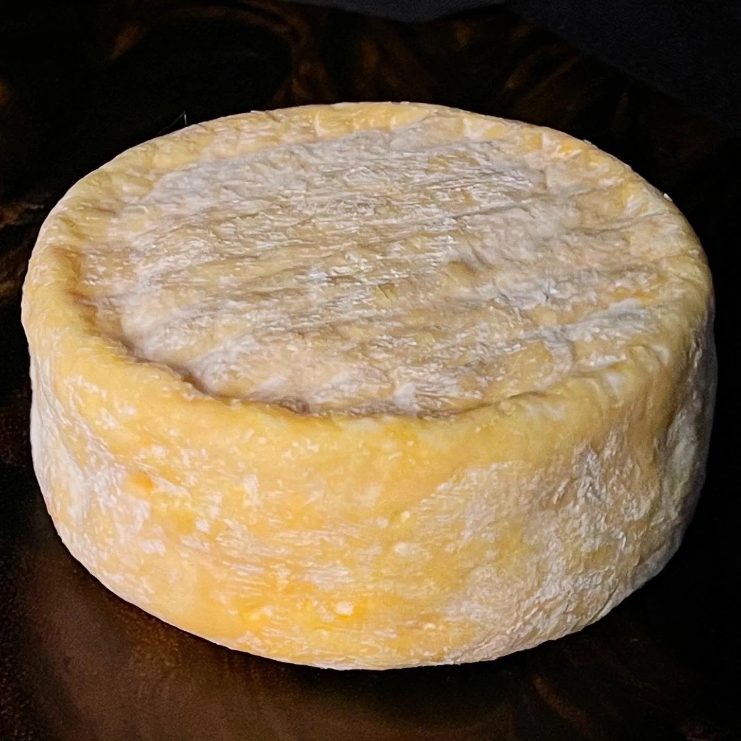 Moonrise, washed rind cheese