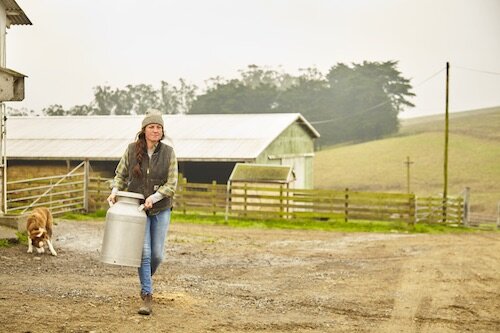 From Conservationists to Cheesemakers: Tomales Farmstead Creamery &amp; Daily Driver