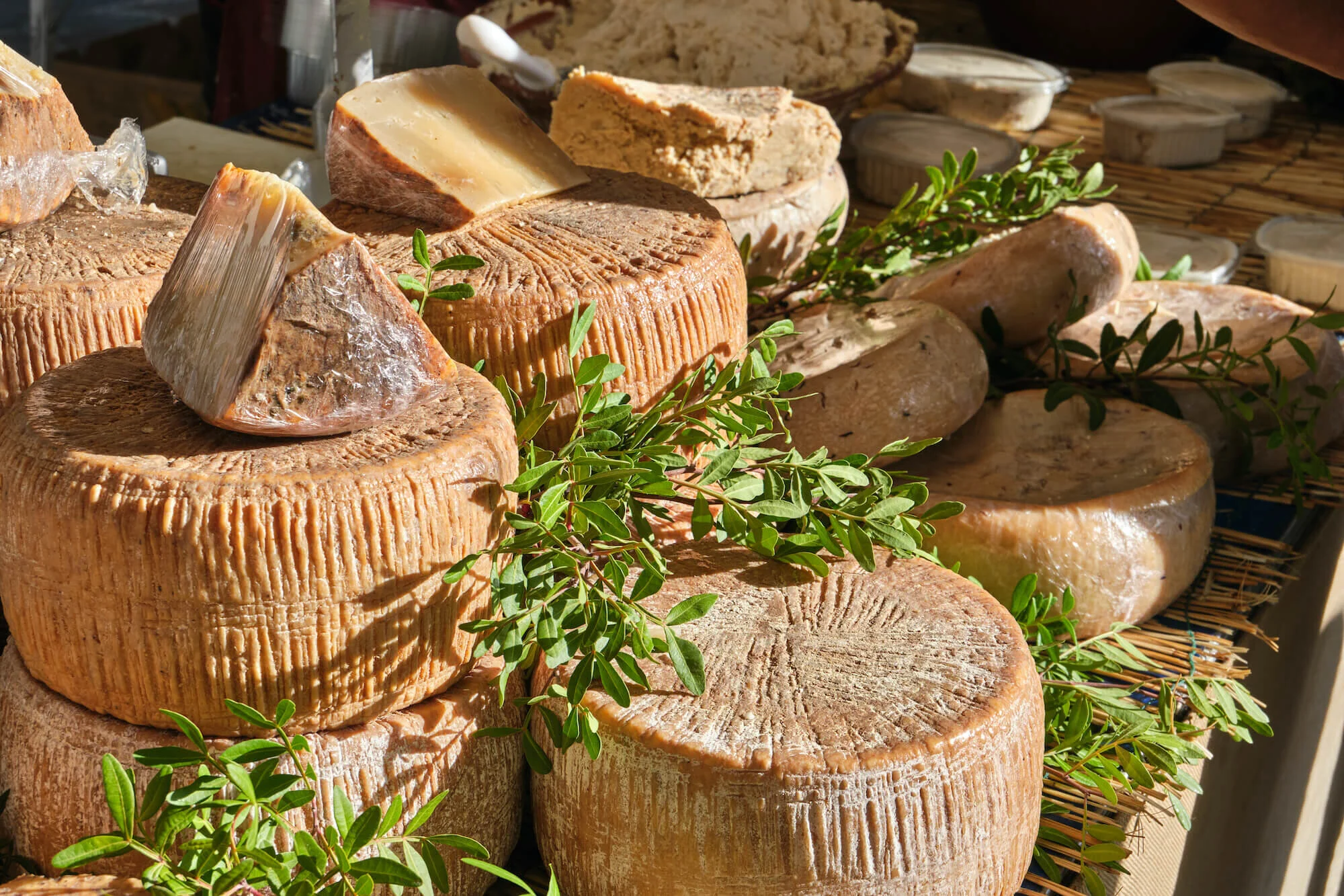 Casu Marzu Cheese Ultimate Guide: Origins, Production – BVMEM