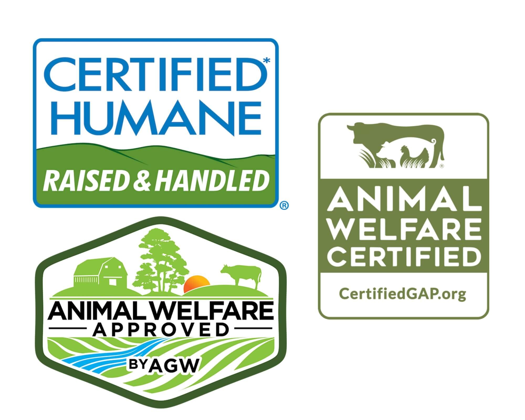 What Does It Take for a Cheese to be Animal Welfare Certified? | The Cheese  Professor