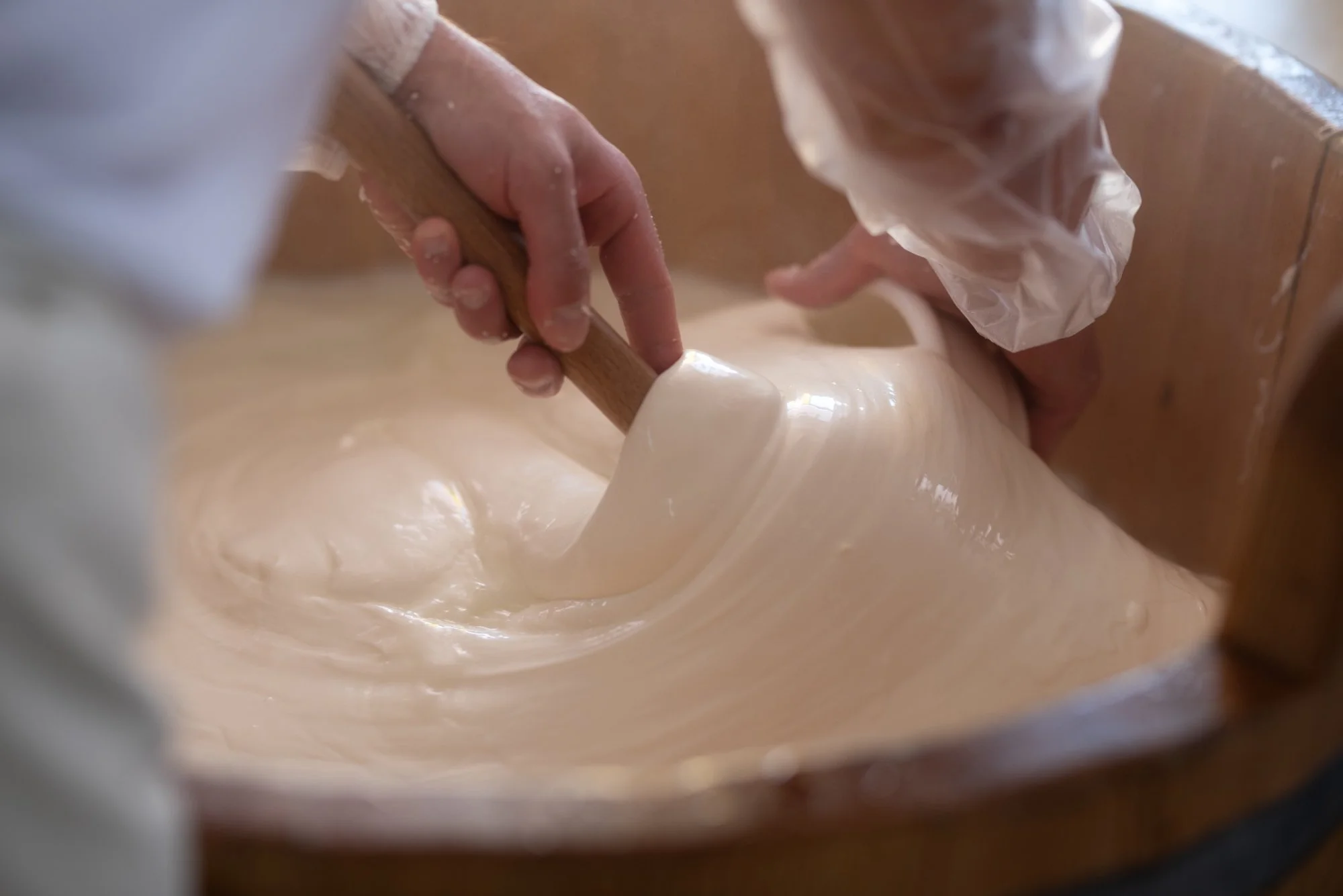 How Much Do You Know About Mozzarella?