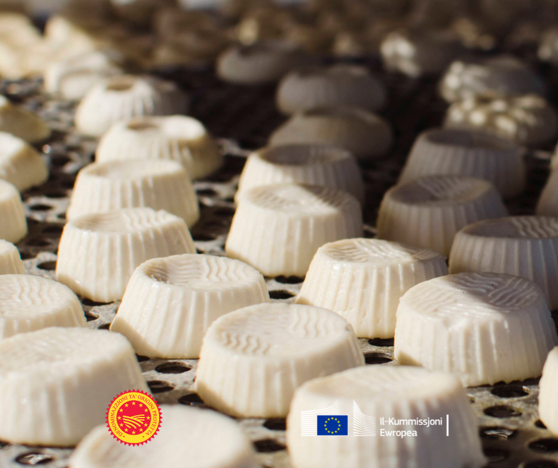 Ġbejna tan-nagħaġ