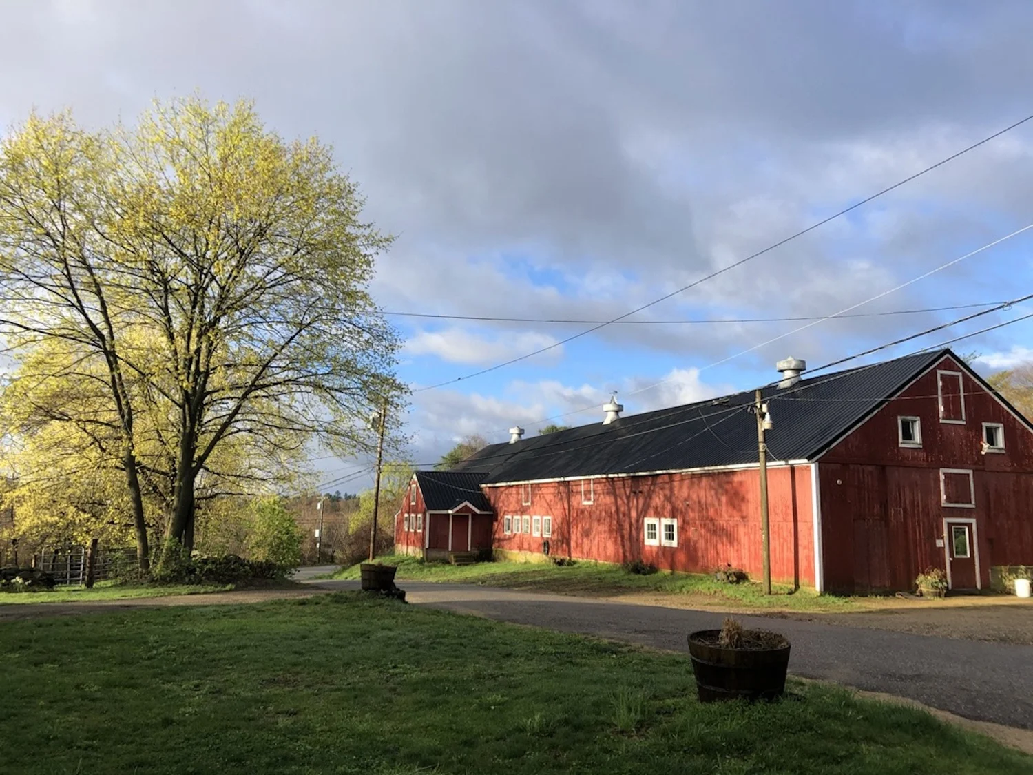 New Cheesemakers at Massachusetts' Round Table Farm The