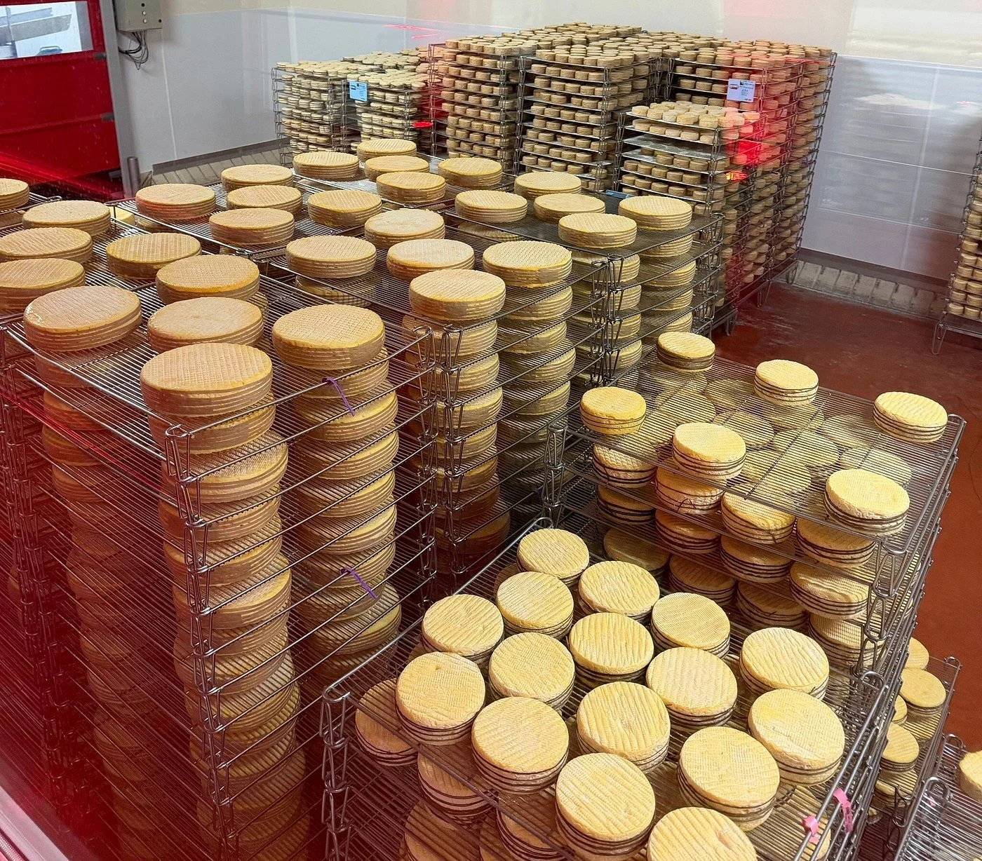 Wheels of Livarot at Fromagerie Graindorge