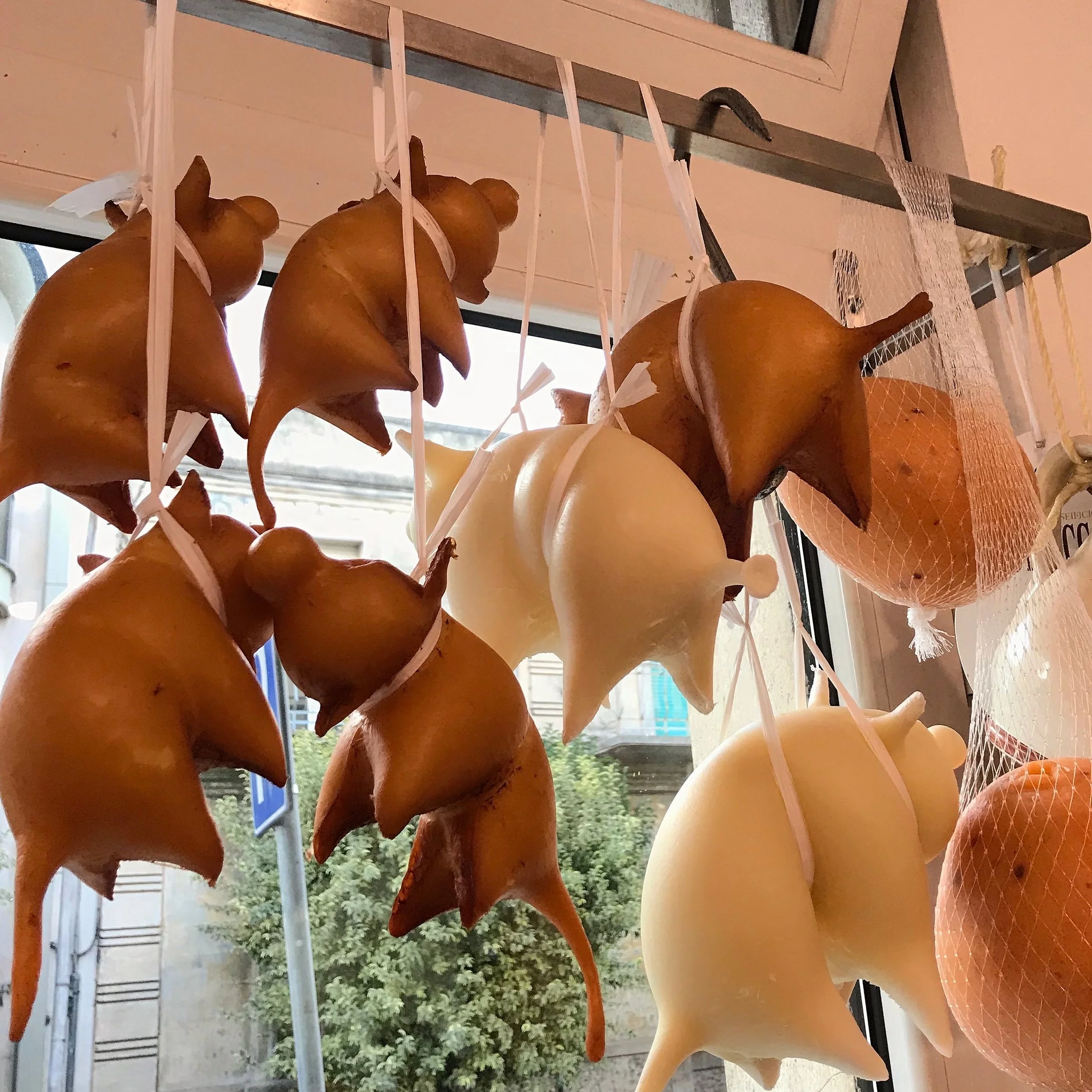 Piglet shaped scamorza