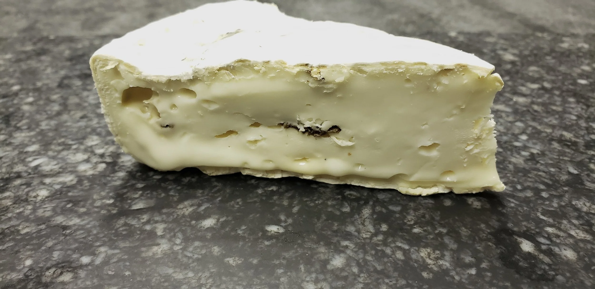 Morcella from Shepherd’s Way Farms
