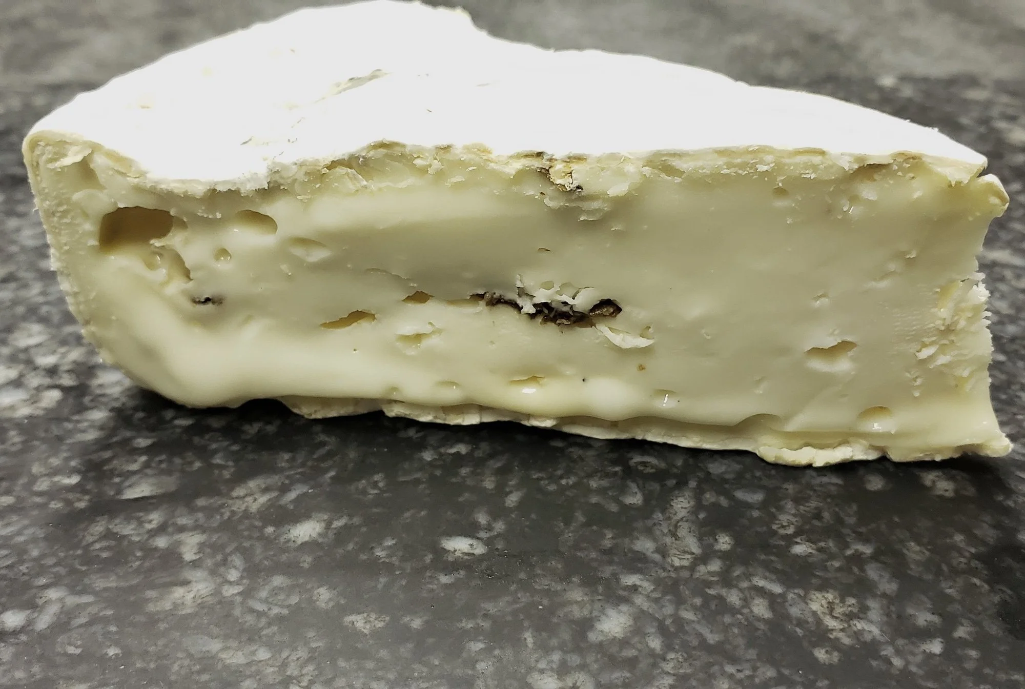 A wedge of Morcella from Shepherd's Way Farms