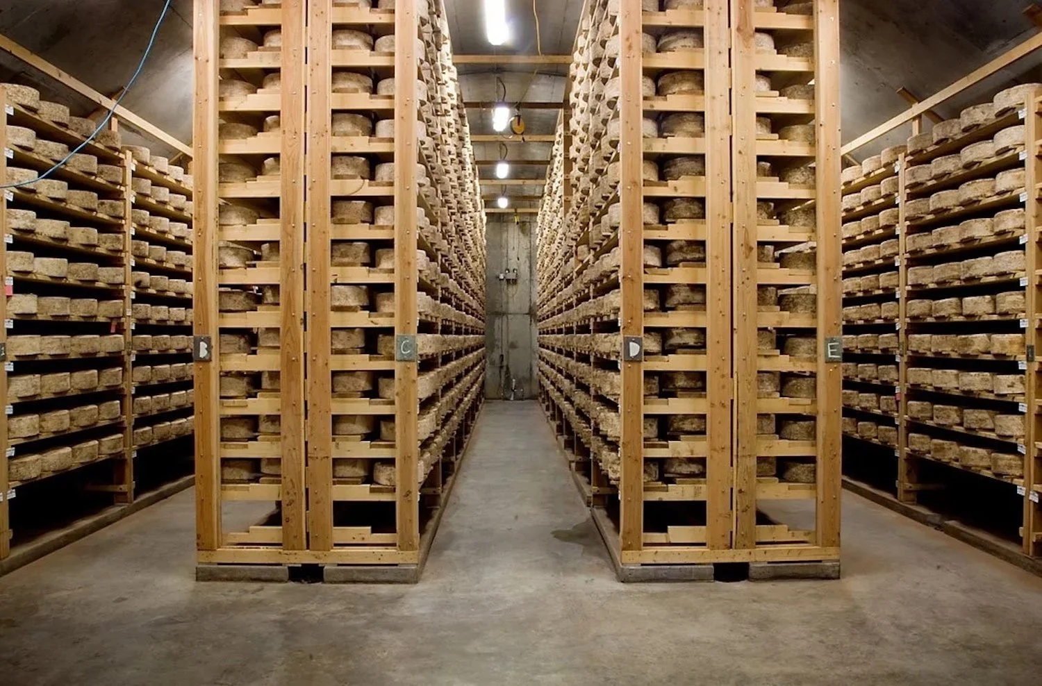 Wheels of cheddar maturing at The Cellars at Jasper Hill