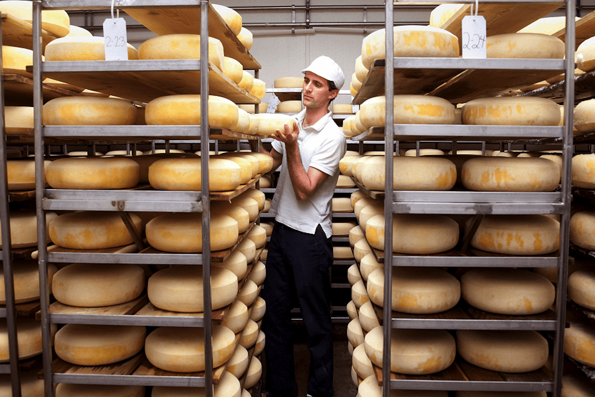 Pleasant Ridge Reserve cheese wheels