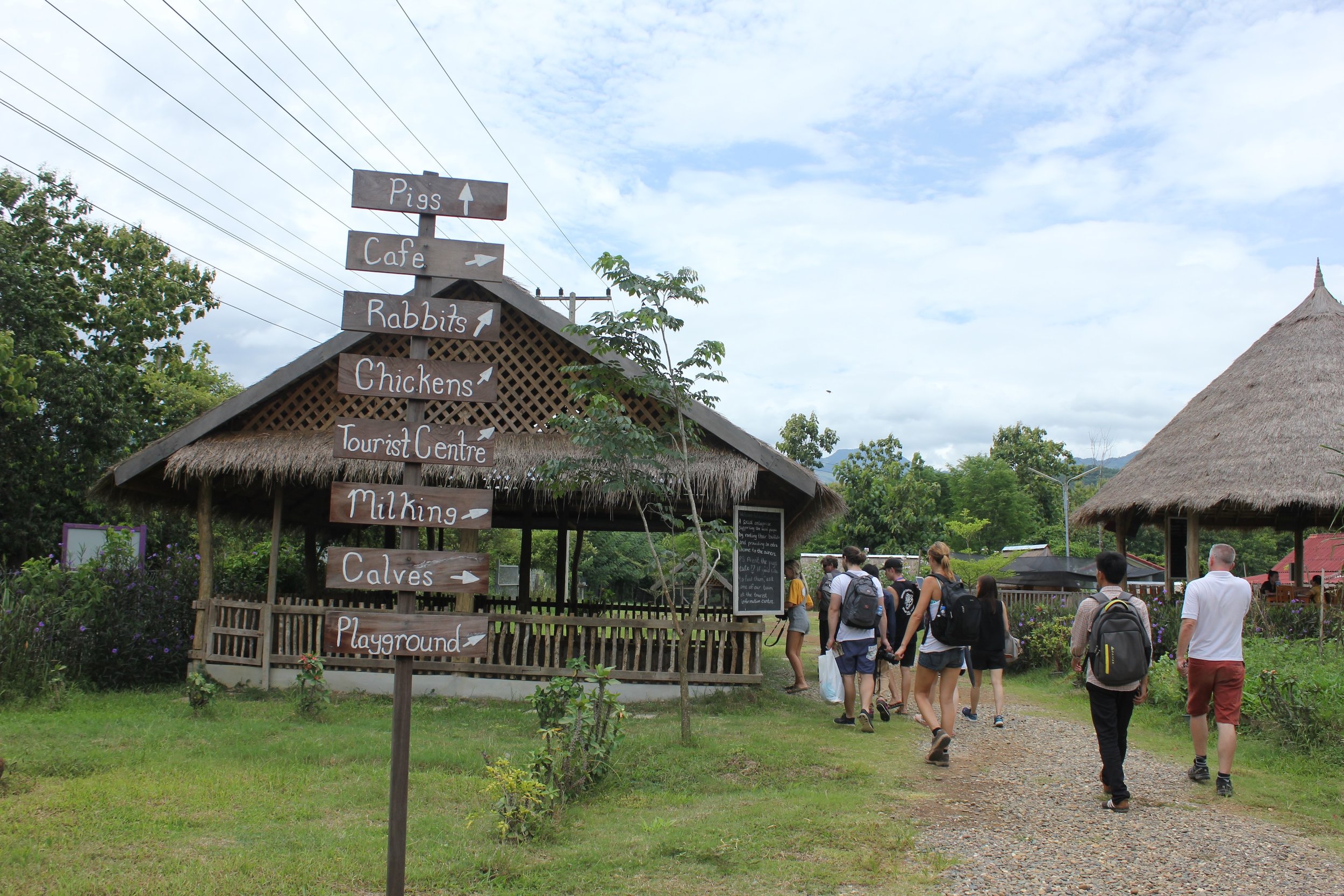 The dairy farm