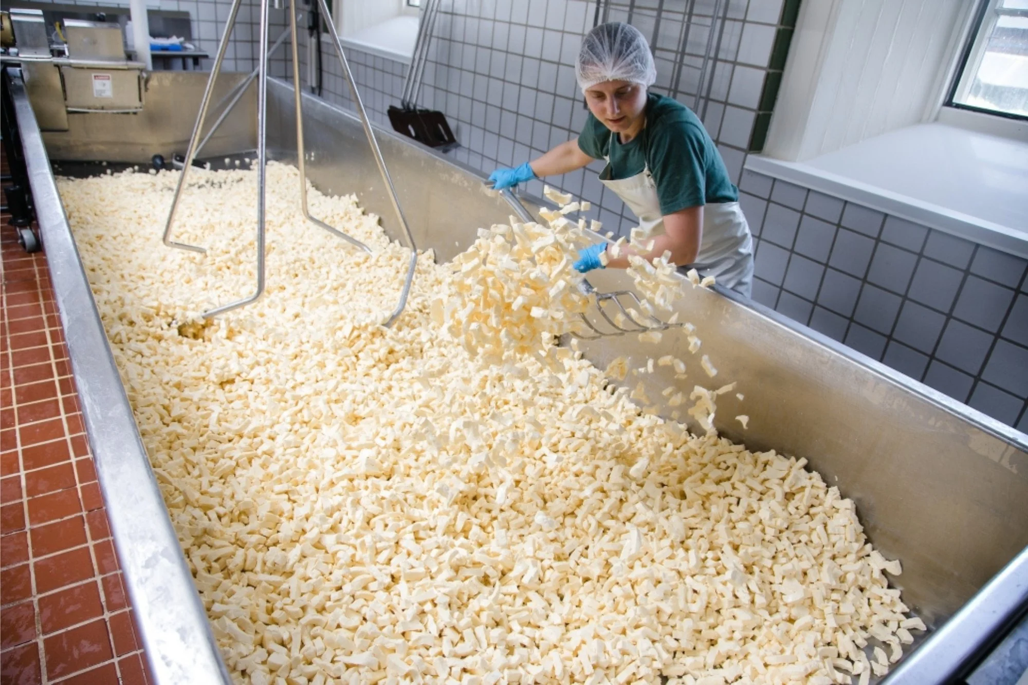Making cheese