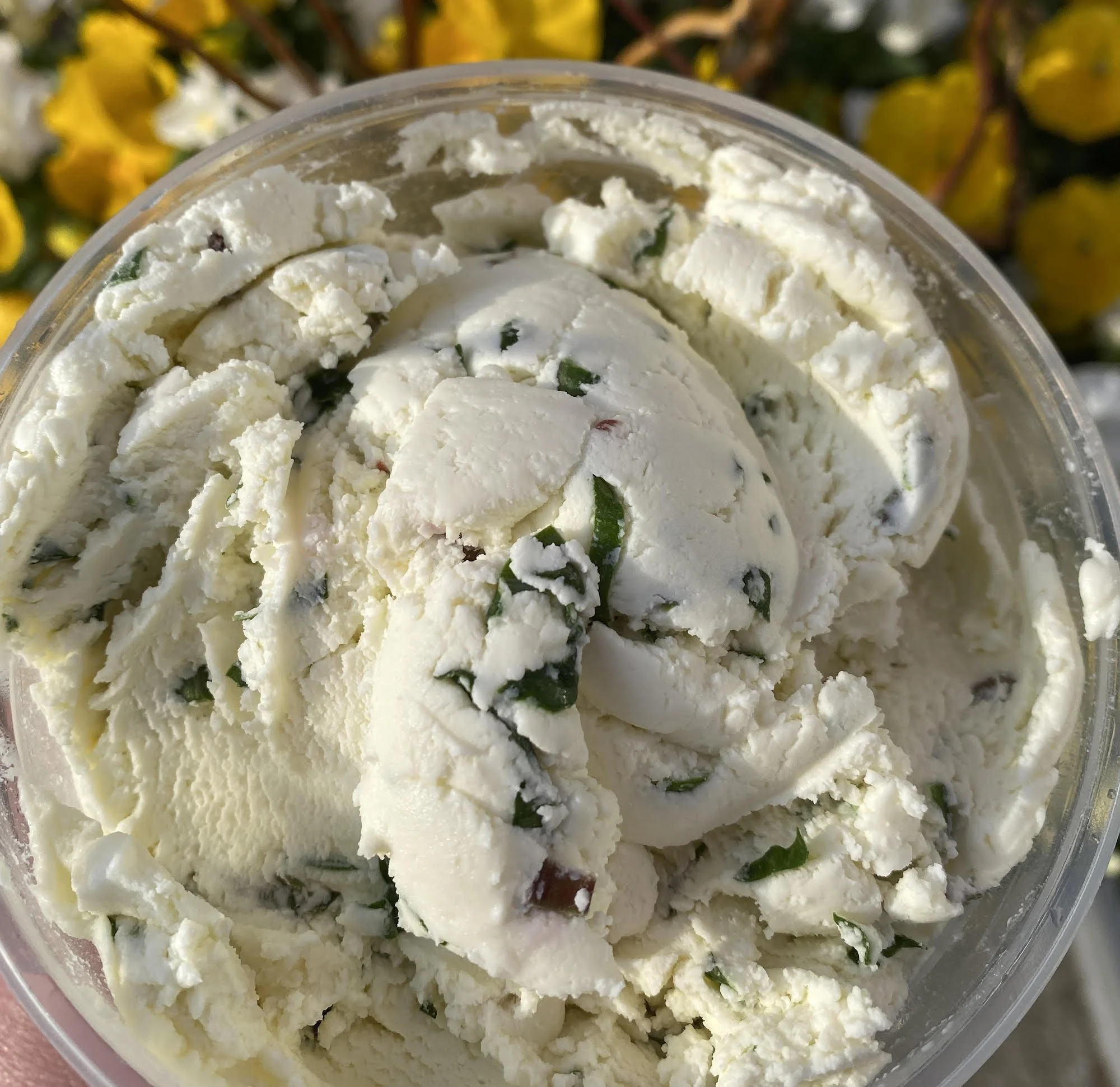 Urban Stead’s seasonal ramp quark