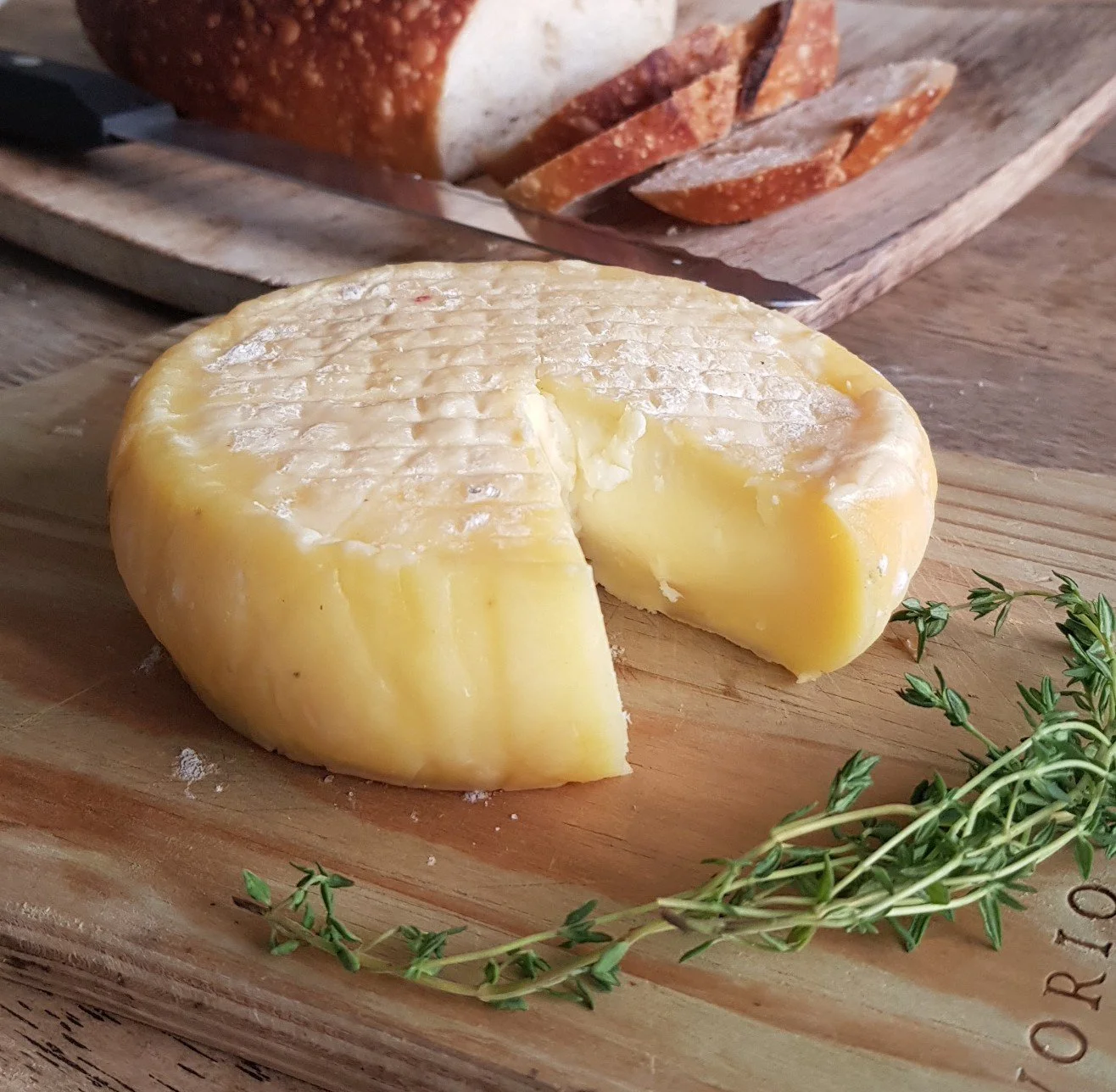 Casa Del Cheese Academy’s tomme-style cheese