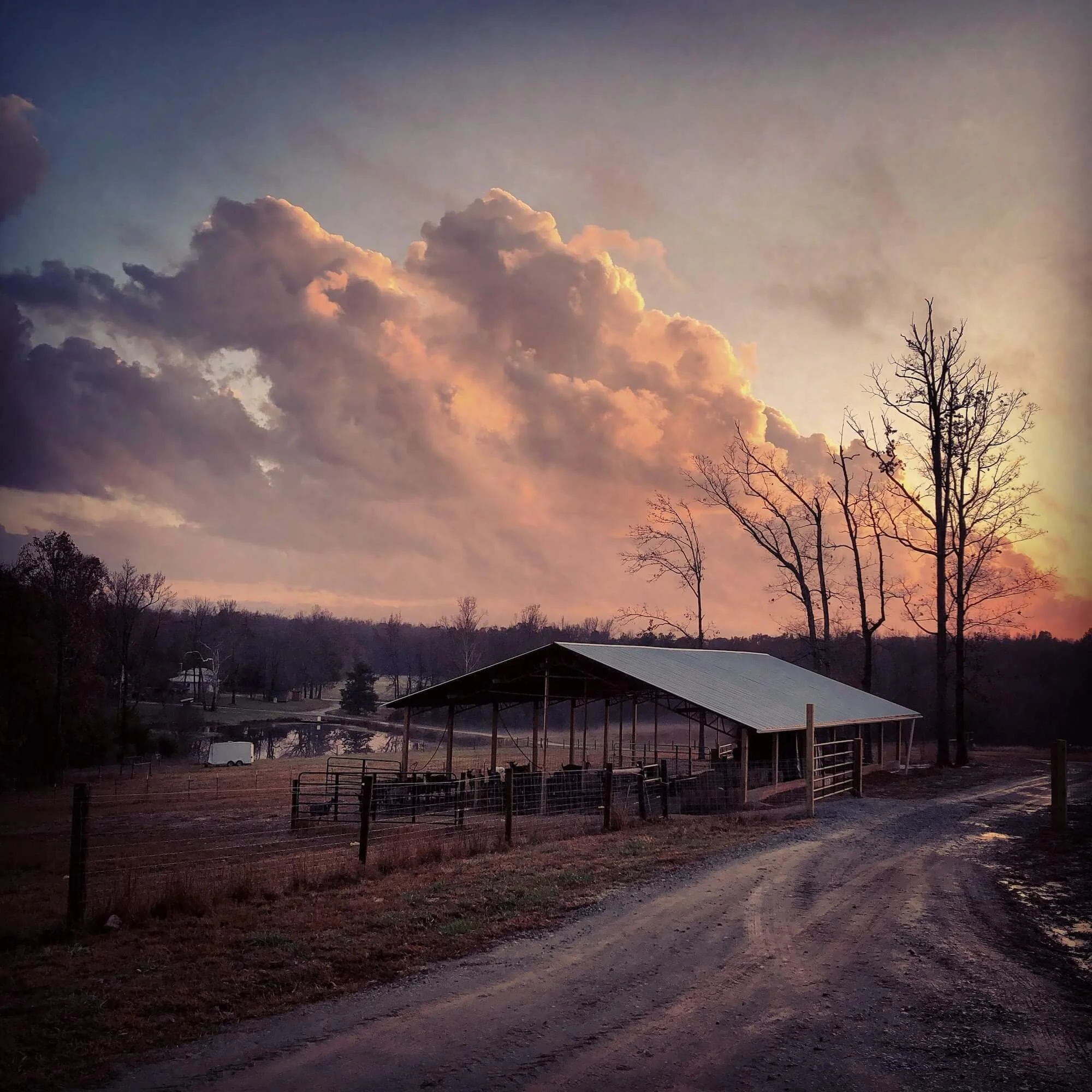 Boxcarr Farm
