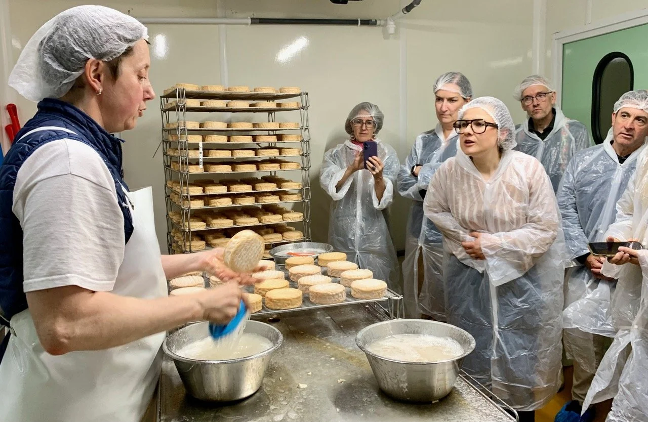 Washing the rinds of Epoisses on a farm with Cheese Journeys