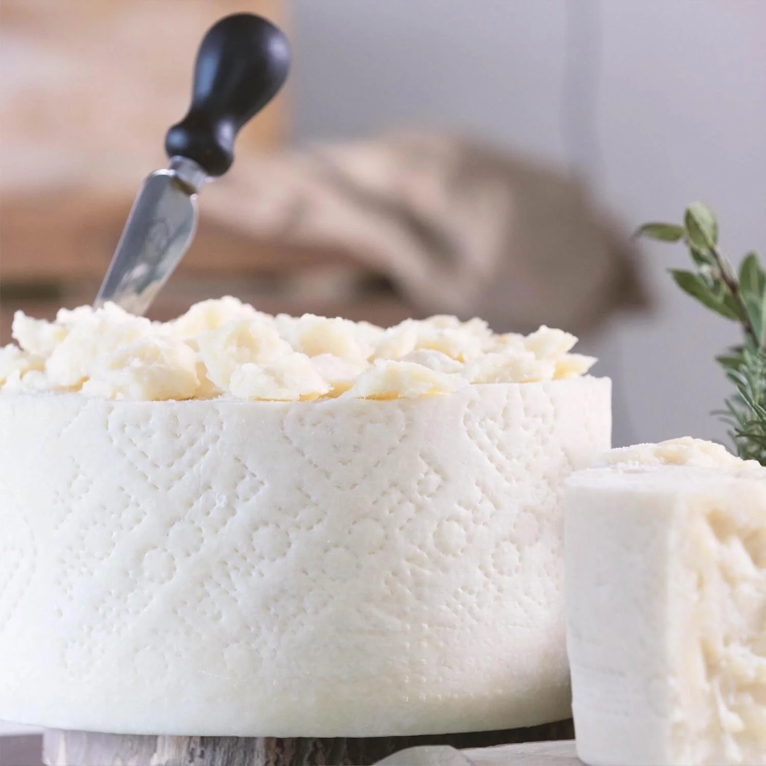 3 Value Cheeses Piave PDO, Grana Padano PDO and Pecorino Romano PDO