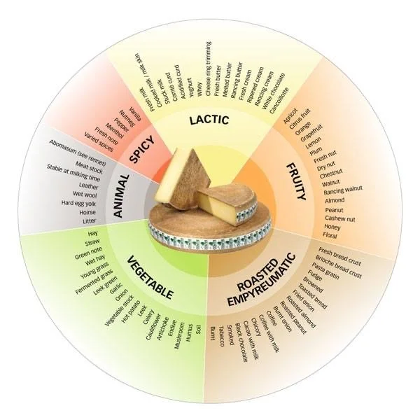 Comté flavor wheel