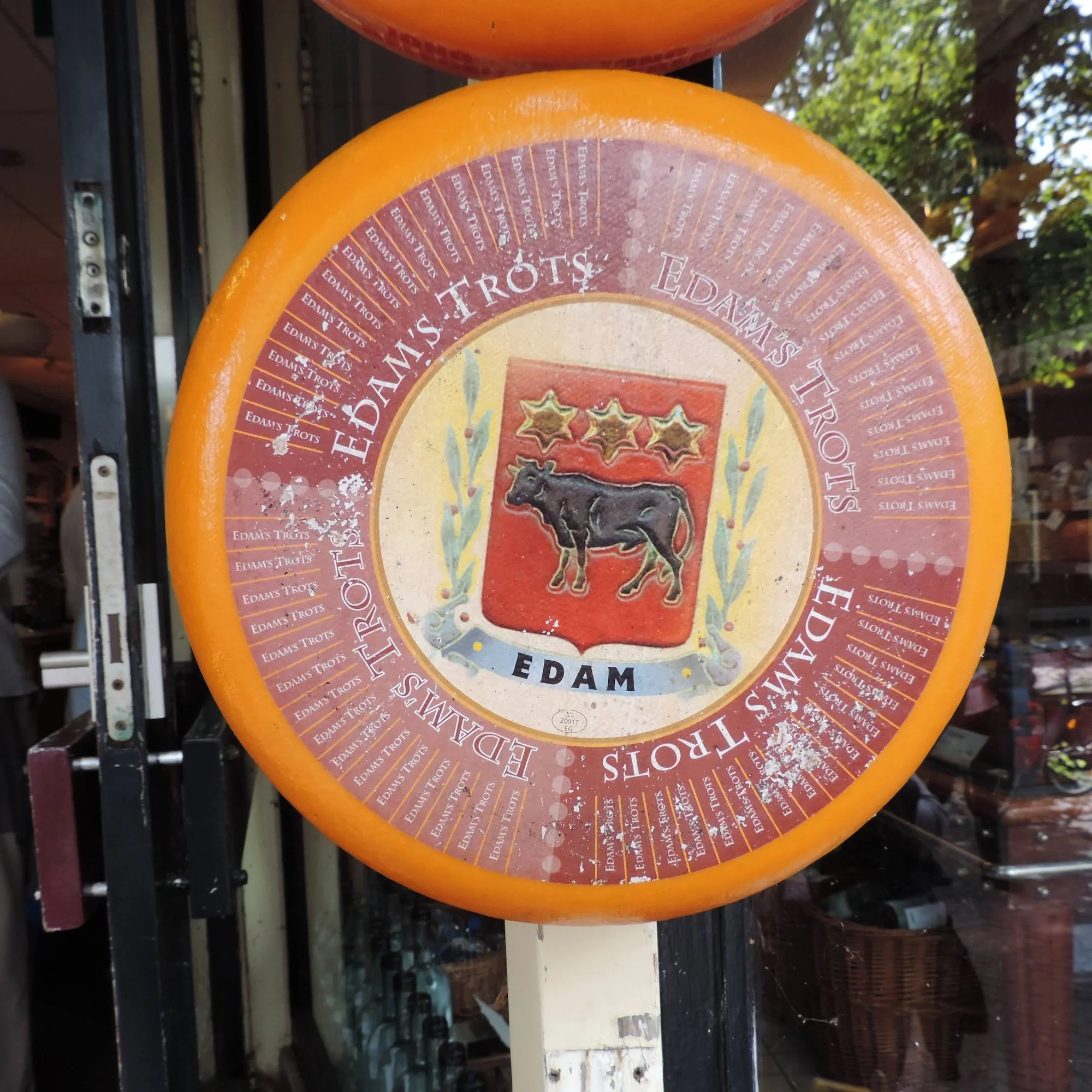 Edam, a semi-hard, mild cow’s milk cheese.