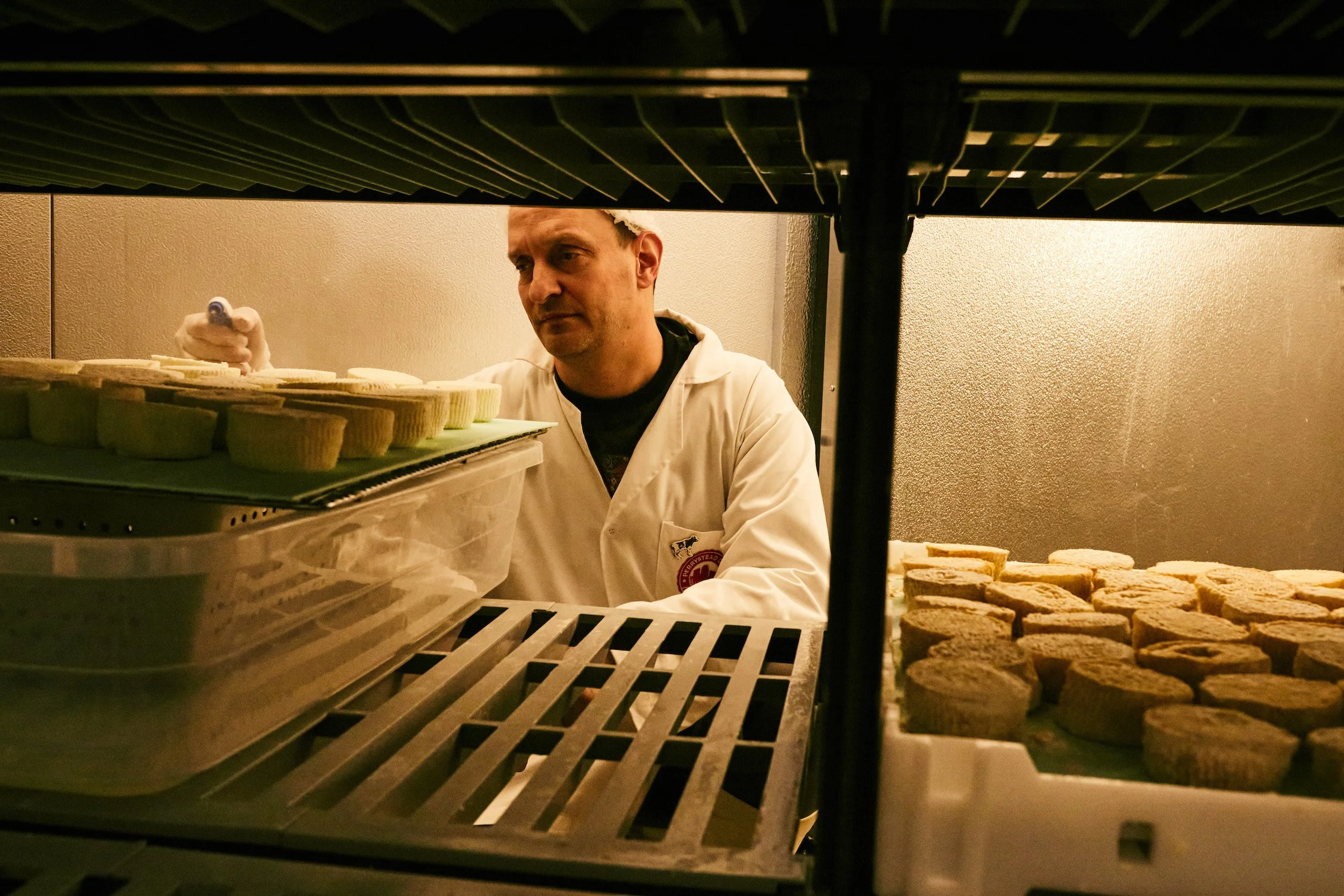 Yoav Perry inspecting aging cheese