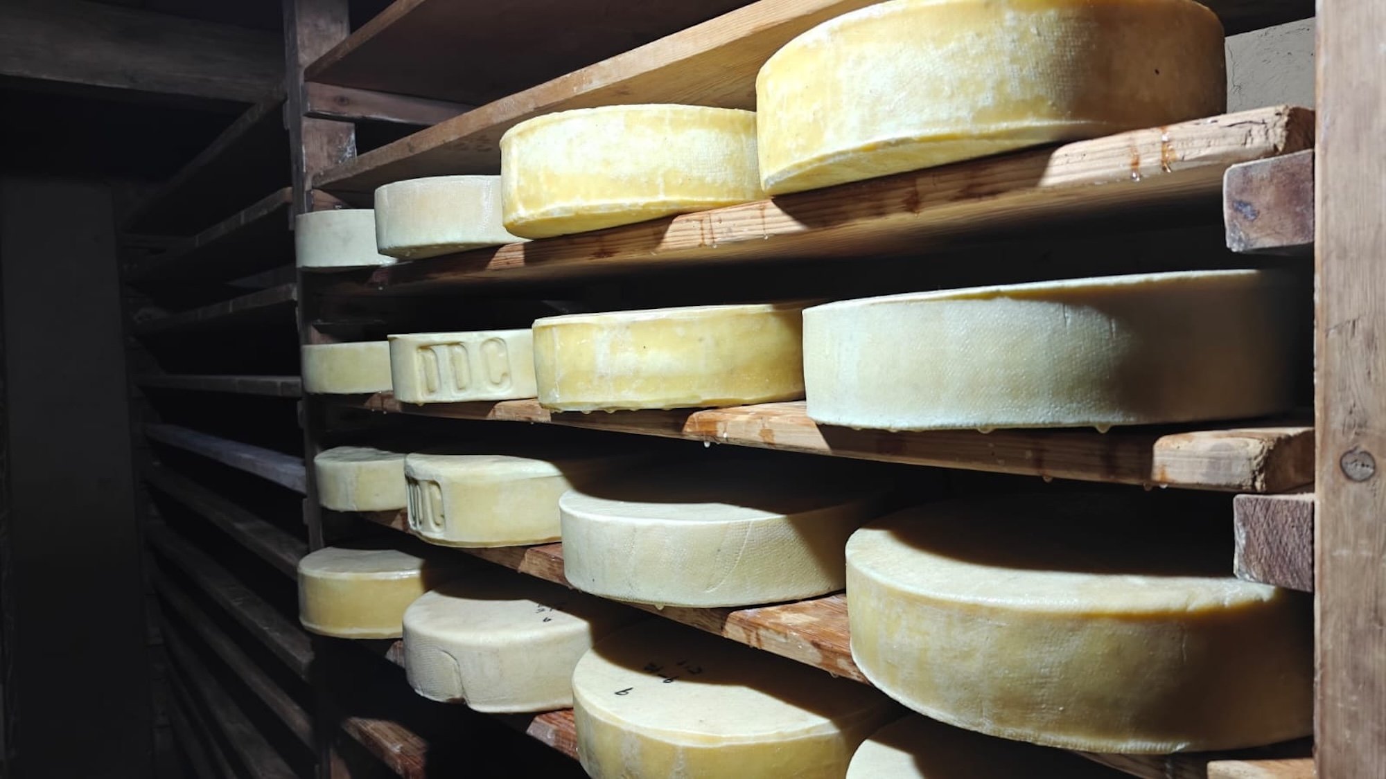 Yak milk cheese at Chandanbari