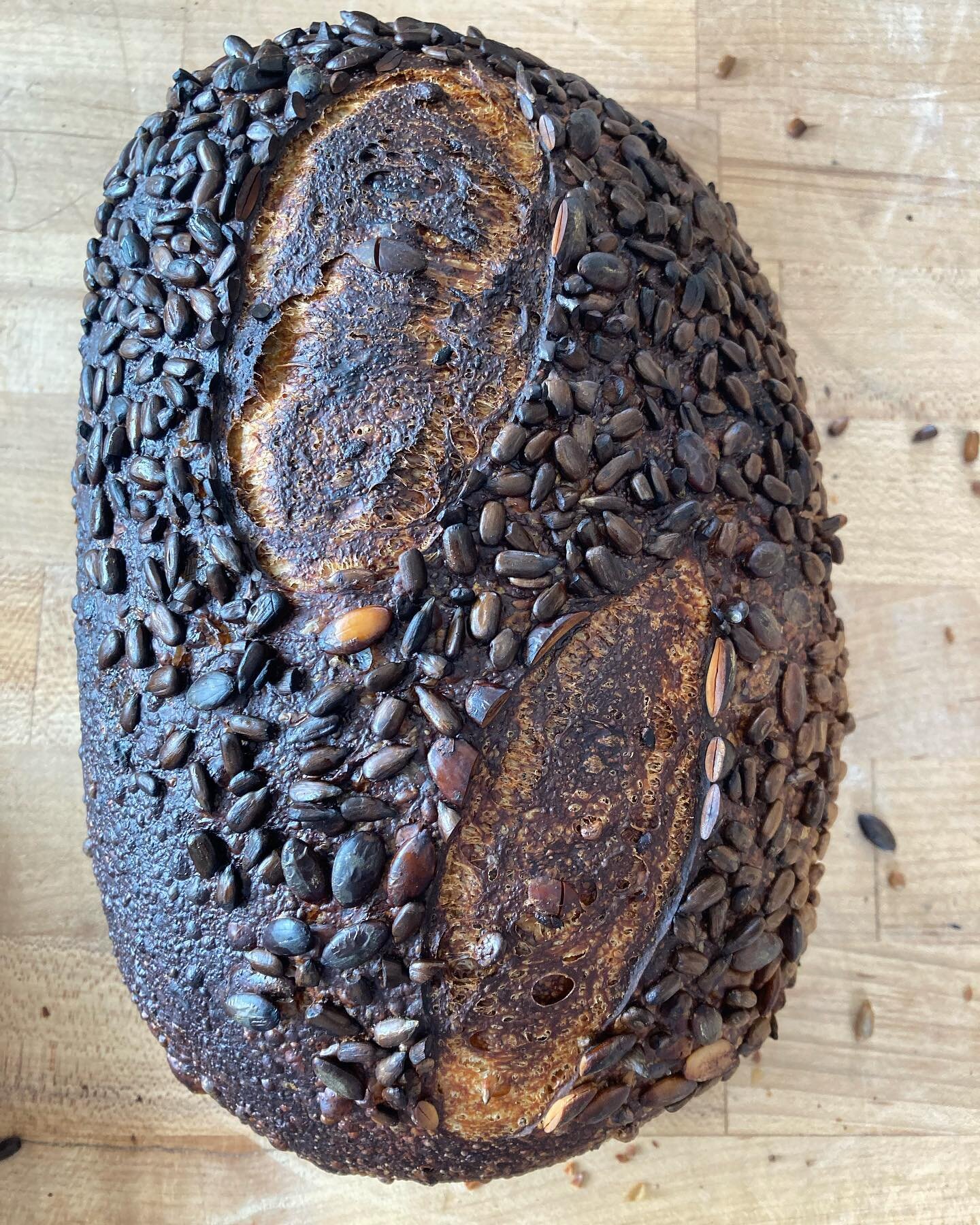 Introducing a new flavor: carbon. 

🤣😅 whoops-this one didn&rsquo;t make it out of the oven last round.
.
.
.
#sourdough #microbaker #alma #fairplay #localbread