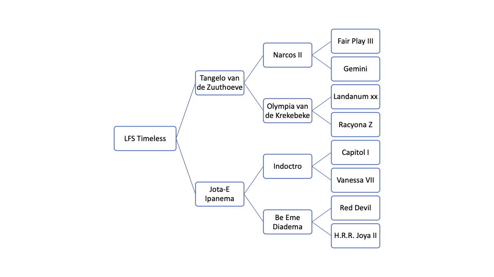 LFS Timeless copy.png