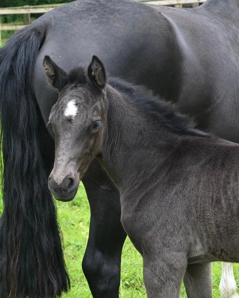 PHOTO-2022-06-13-14-53-18 2.jpg