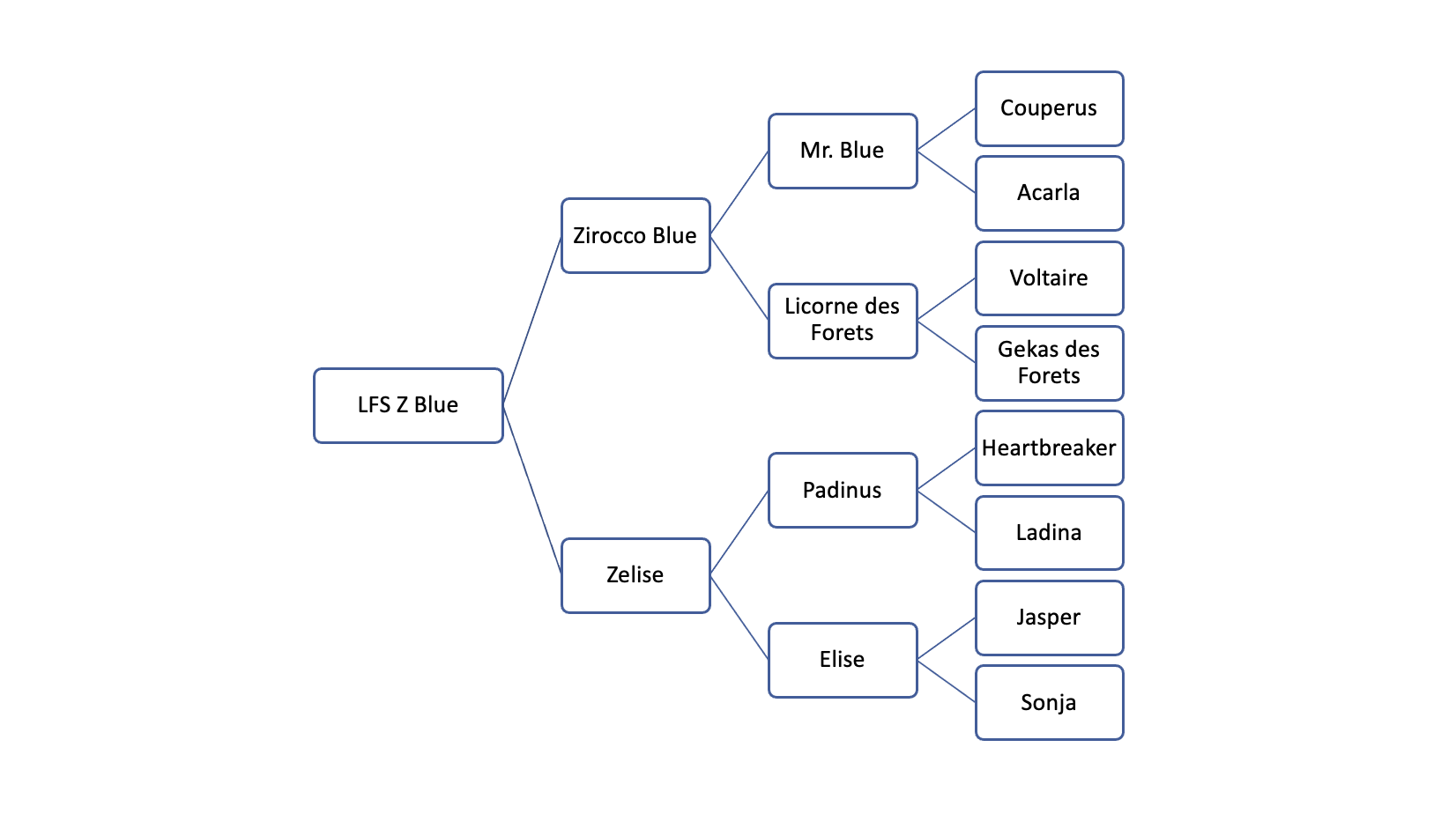 Screen Shot 2023-12-08 at 10.49.57 AM.png