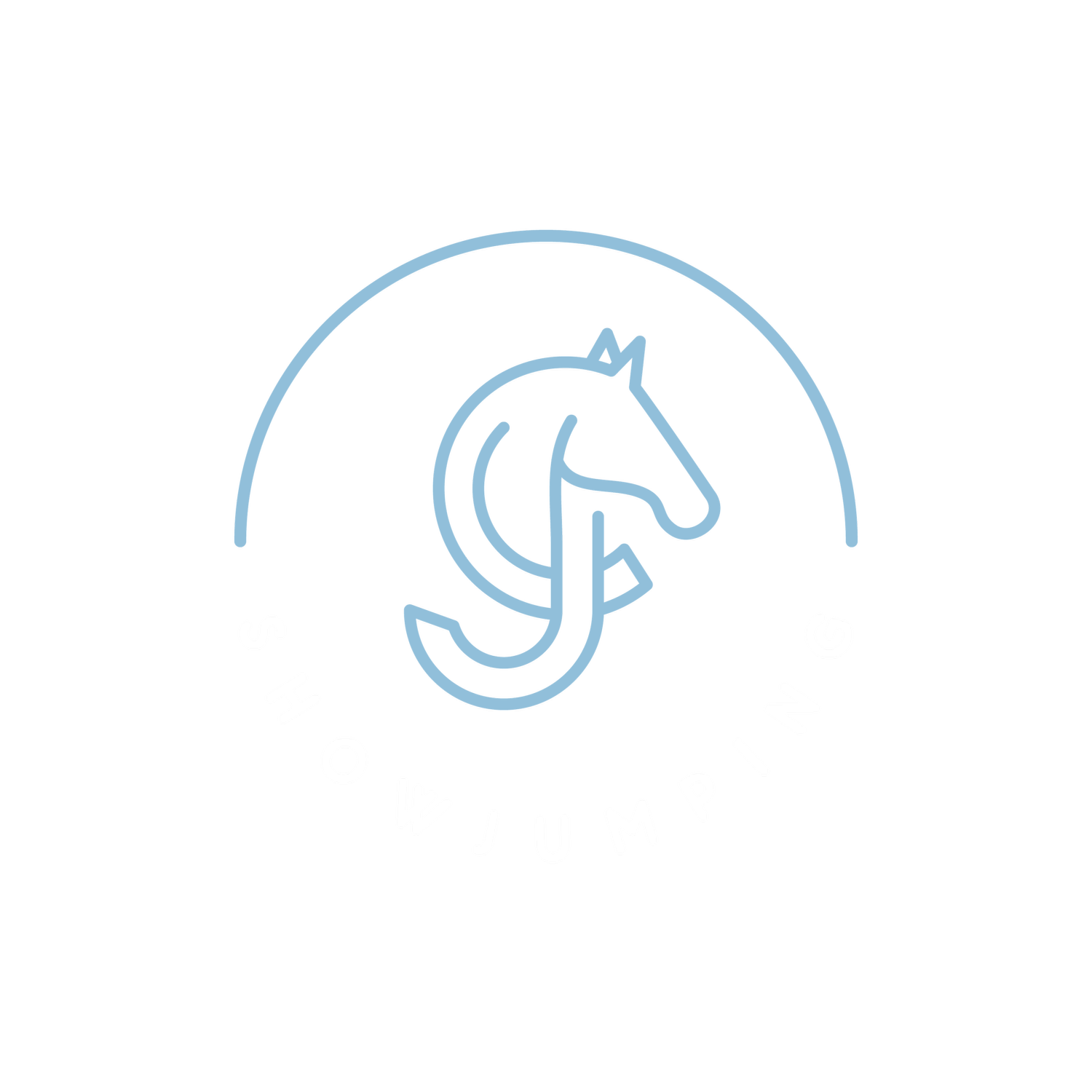 JC Show Jumping