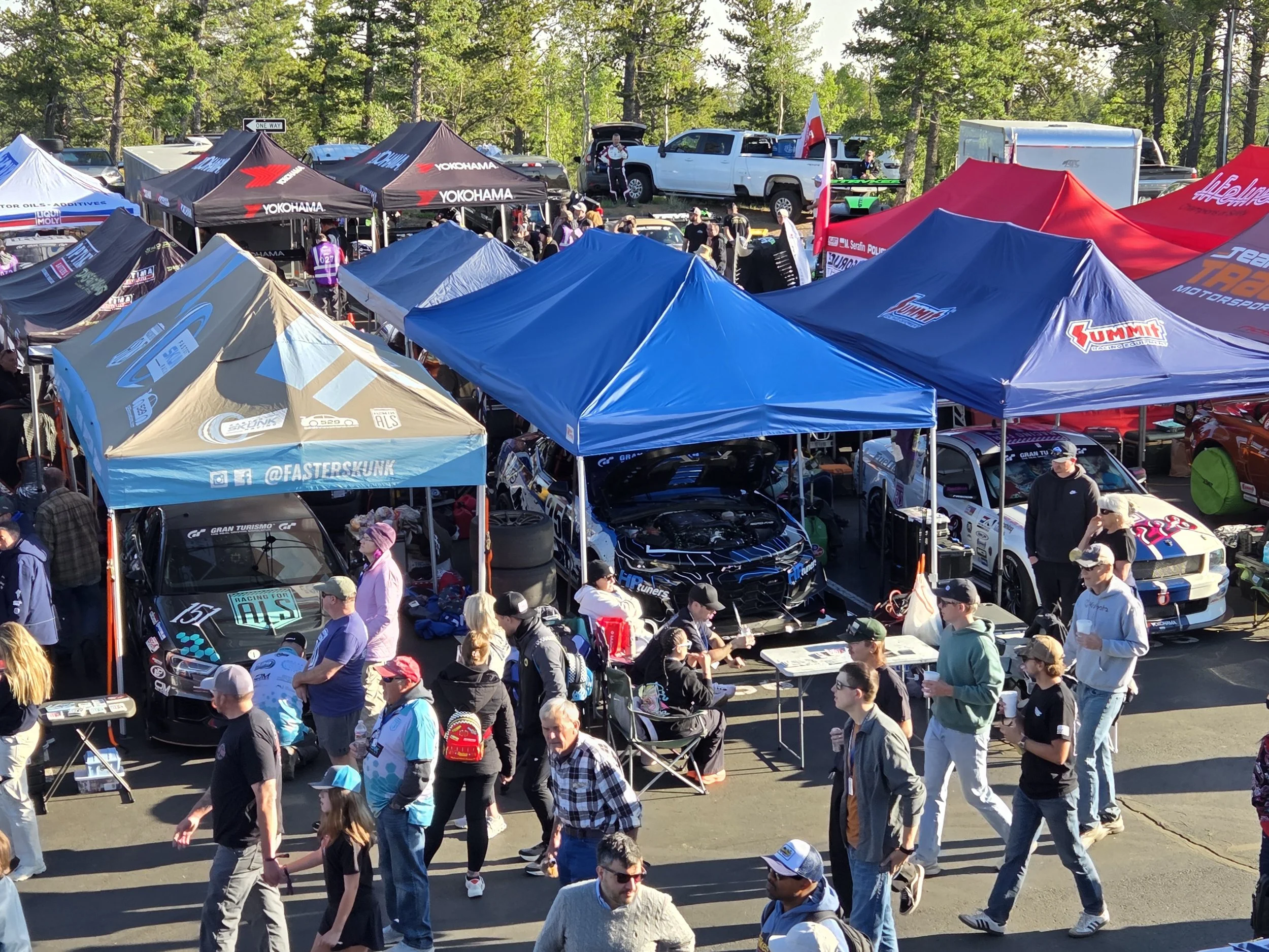 Race day paddock 