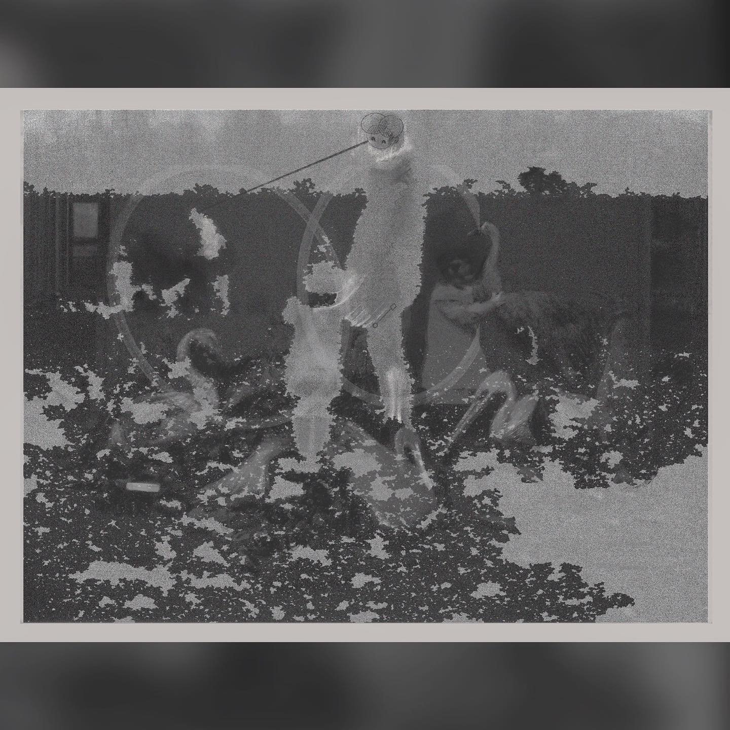 鳥類 bird-type

(digital collage/drawing)

screenshot from low quality video taken in the park + photograph from the sunderland museum archives