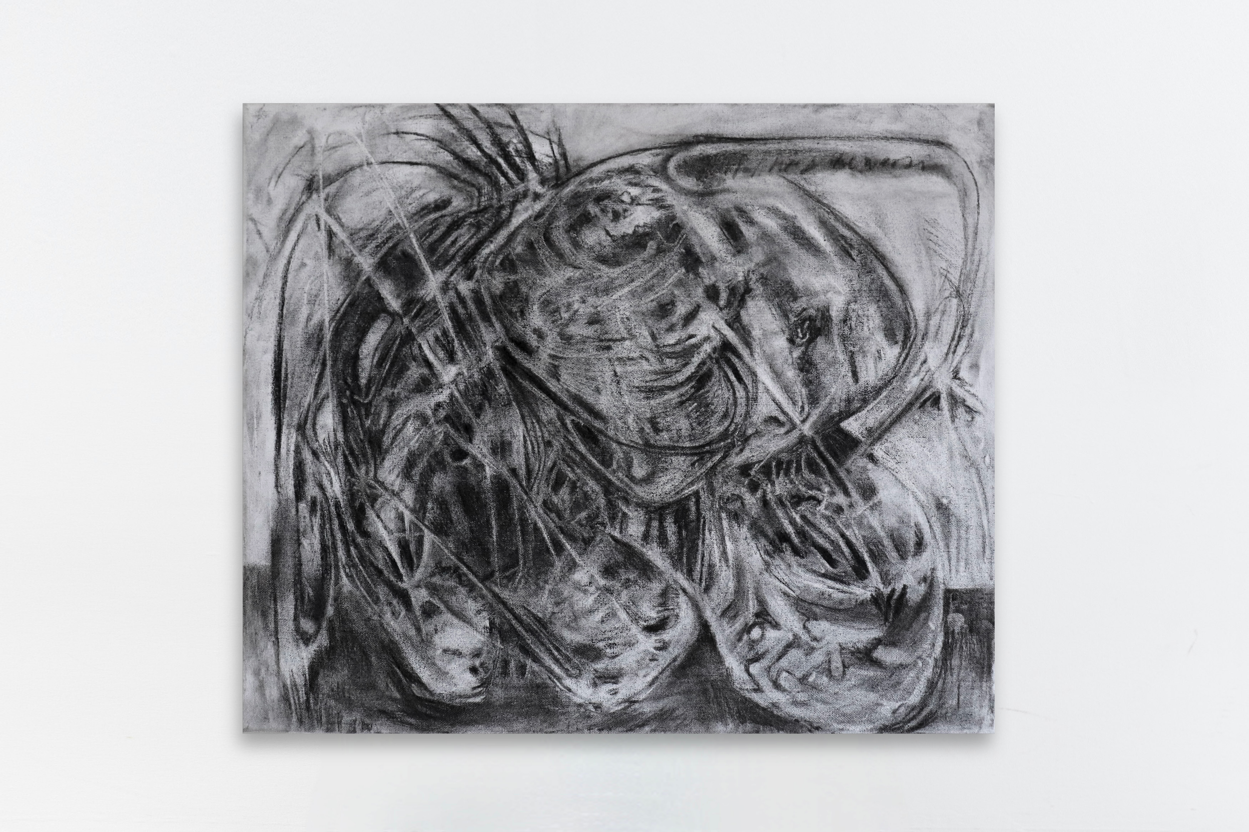 Elephant in the Room (If I had the Words), charcoal on canvas, 60cm x 50cm