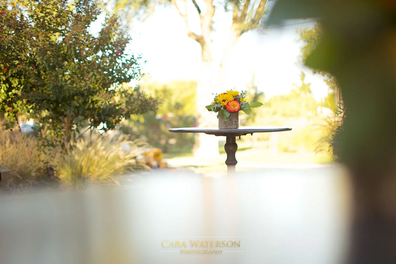 CWP_0463-copy.jpg