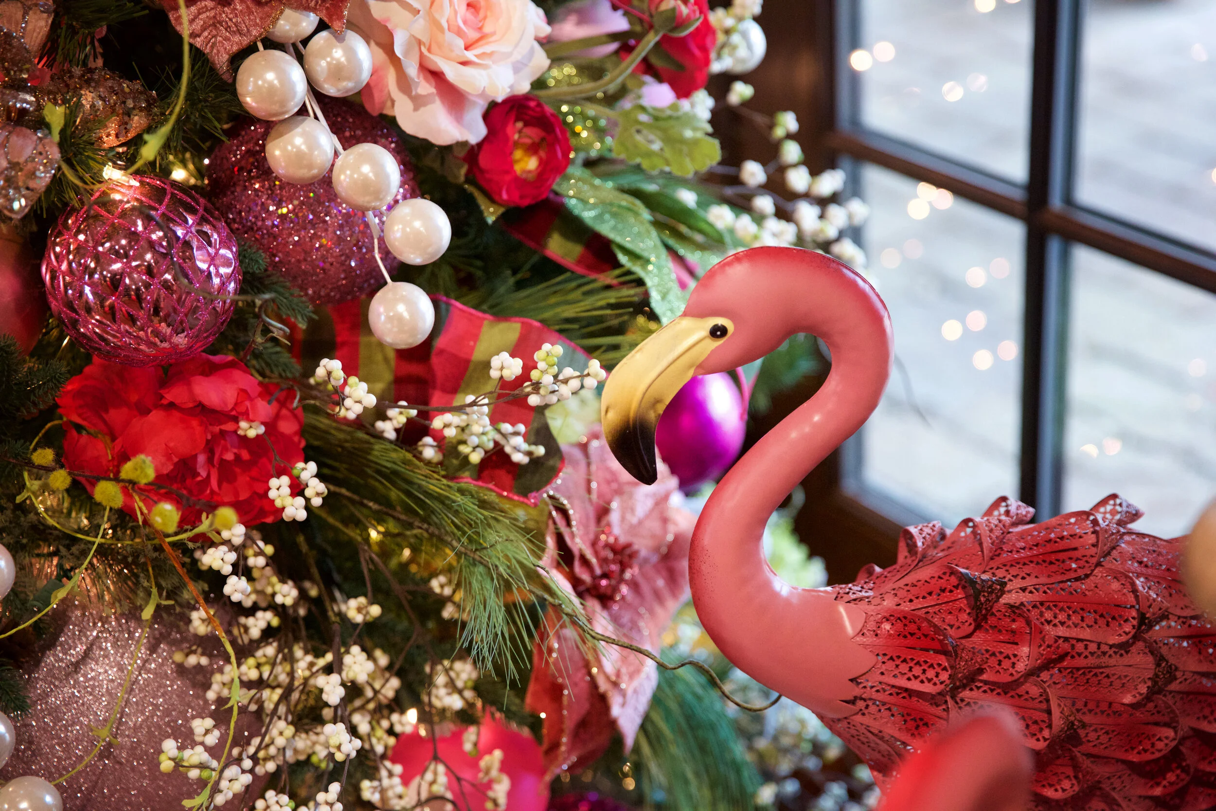 foxtales Christmas 2019-0014.jpg